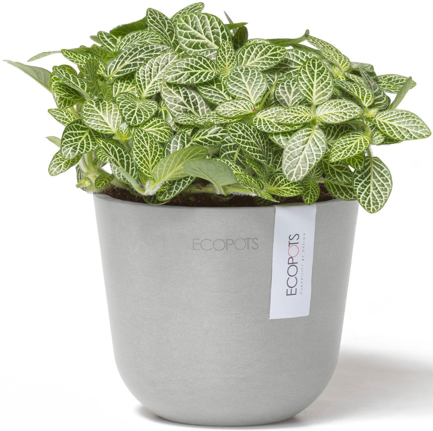 ECOPOTS Blumentopf »Oslo Mini 11,5 Weißgrau« für den Innenbereich