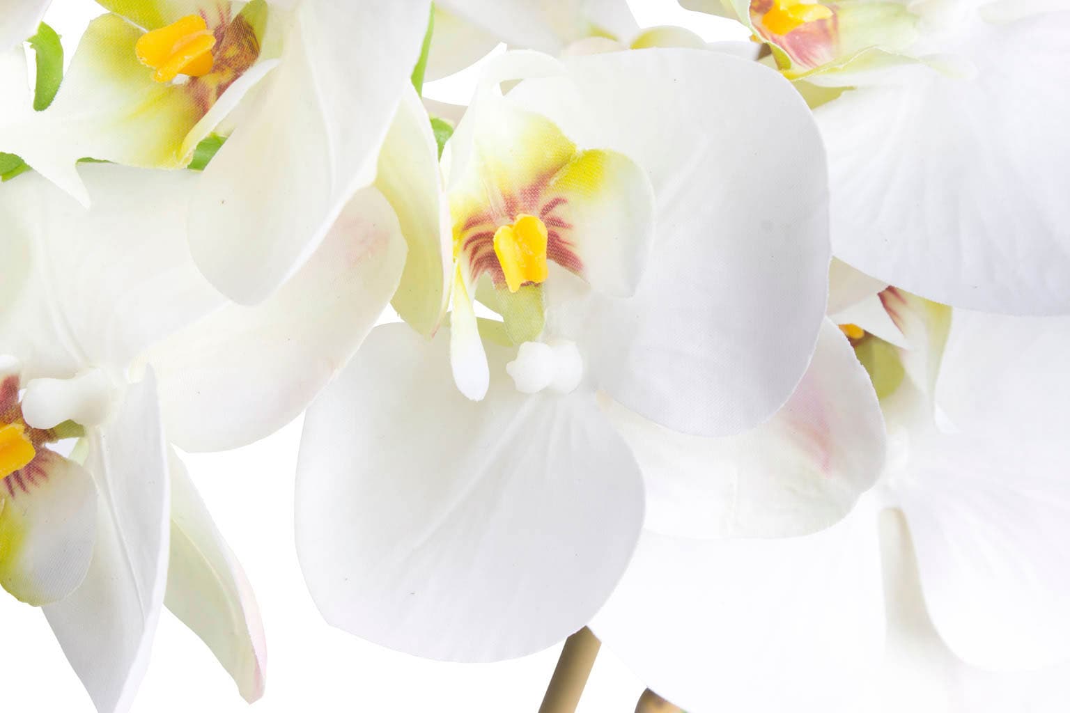 Botanic-Haus Kunstorchidee »Orchidee Bora« auf bestellen Raten