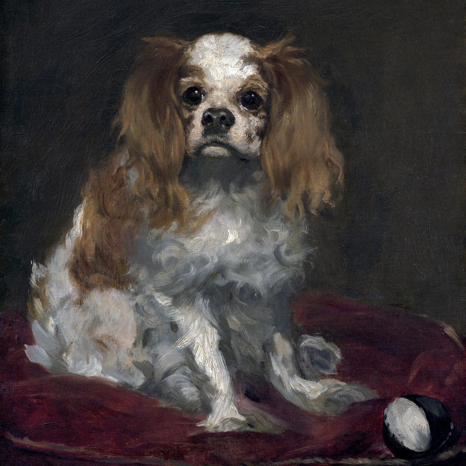 queence Dekokissen »»Hund««, Kissenhülle ohne Füllung, 1 Stück