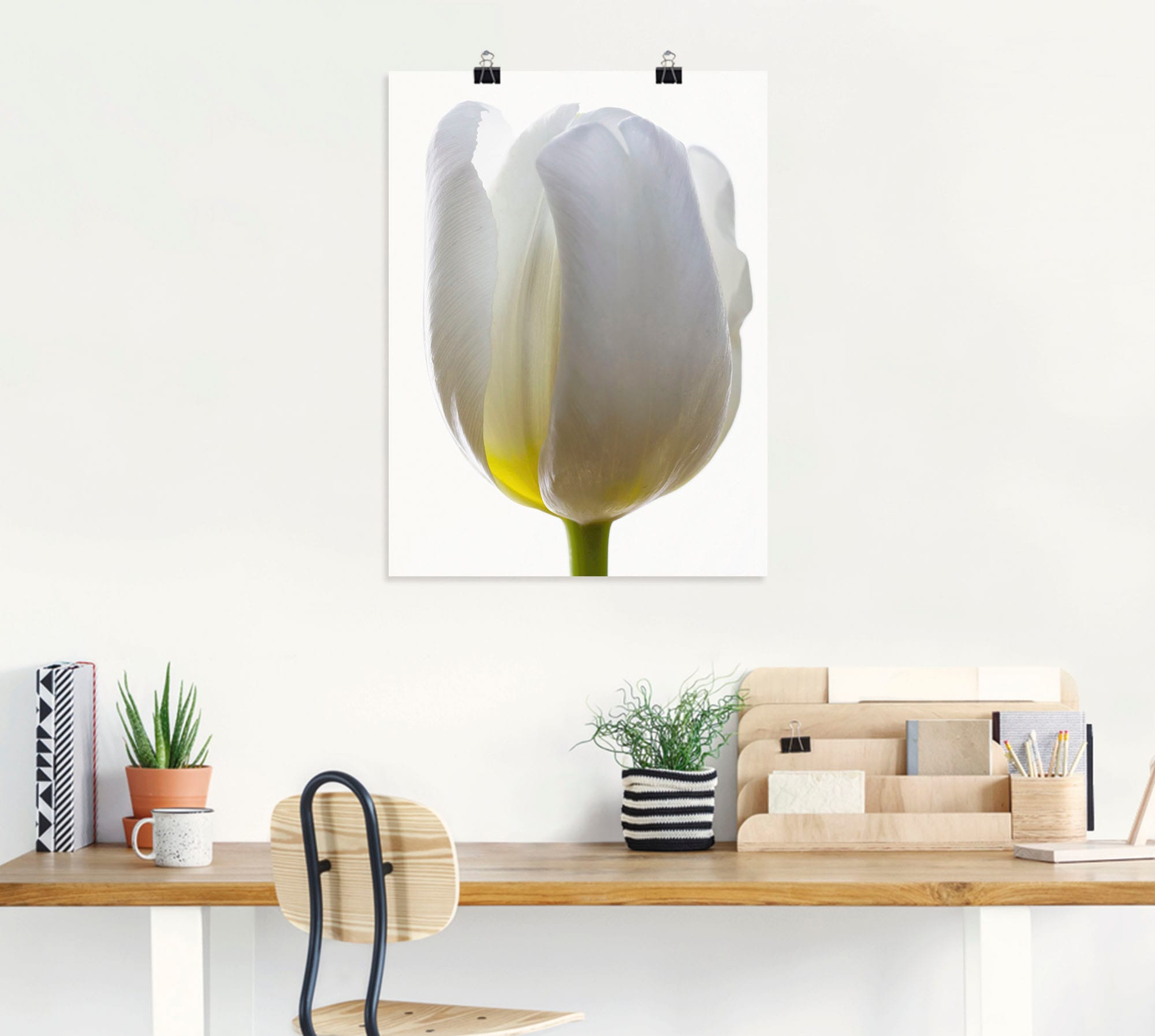 Artland Poster »Weiße Tulpe«, Blumen, (1 St.), als Alubild, Leinwandbild, Wandaufkleber oder Poster in versch. Größen