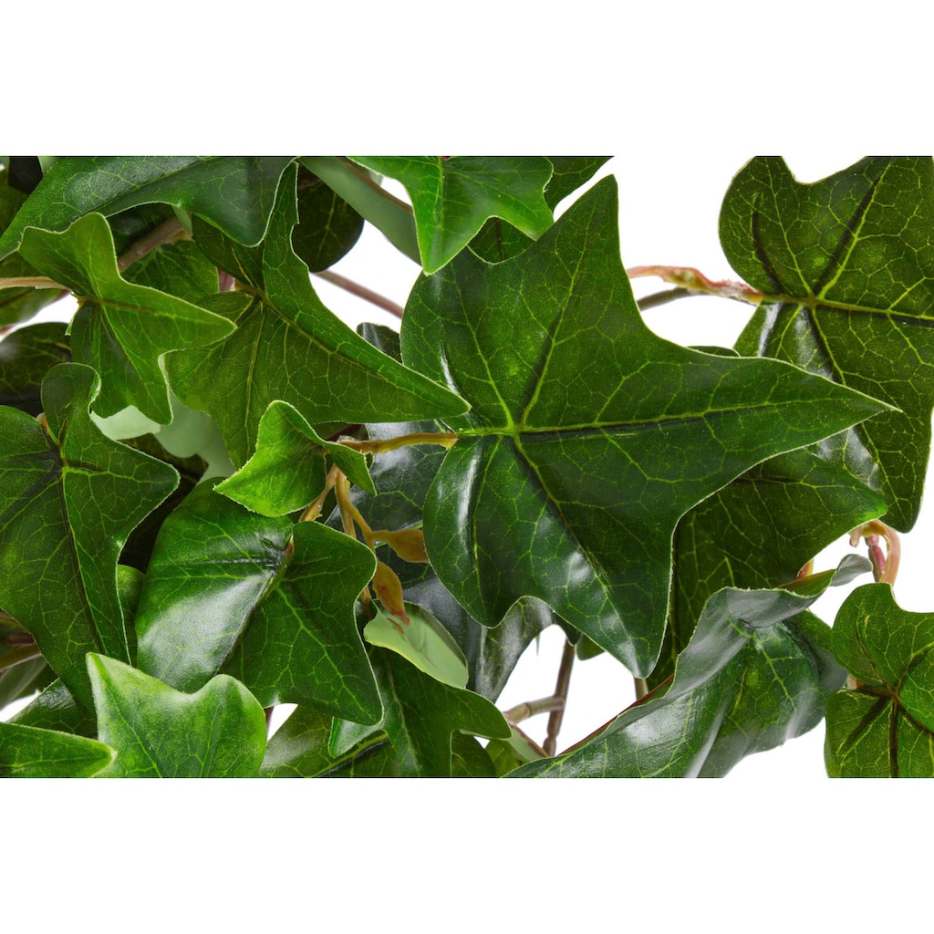 Botanic-Haus Künstliche Zimmerpflanze »Efeu-Hängebusch mit 10 Stielen«