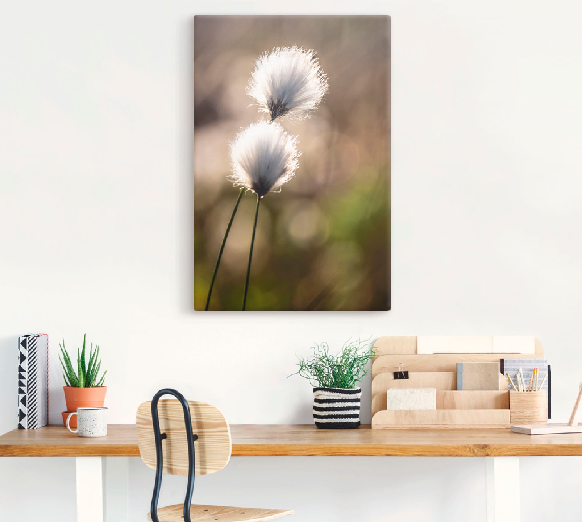 Artland Wandbild »Wollgras I«, Gräser, (1 St.), als Alubild, Outdoorbild, Leinwandbild, Poster in verschied. Größen