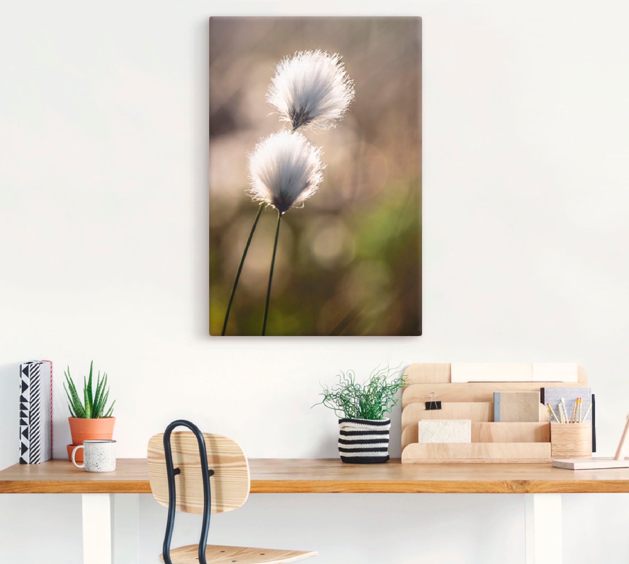 Artland Wandbild »Wollgras I« Gräser 1 Stk. tlg. als Alubild, Outdoorbild, günstig online kaufen
