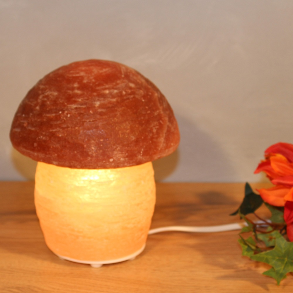 HIMALAYA SALT DREAMS Salzkristall-Tischlampe »Pilz«, Leuchtmittel E14   Leu günstig online kaufen