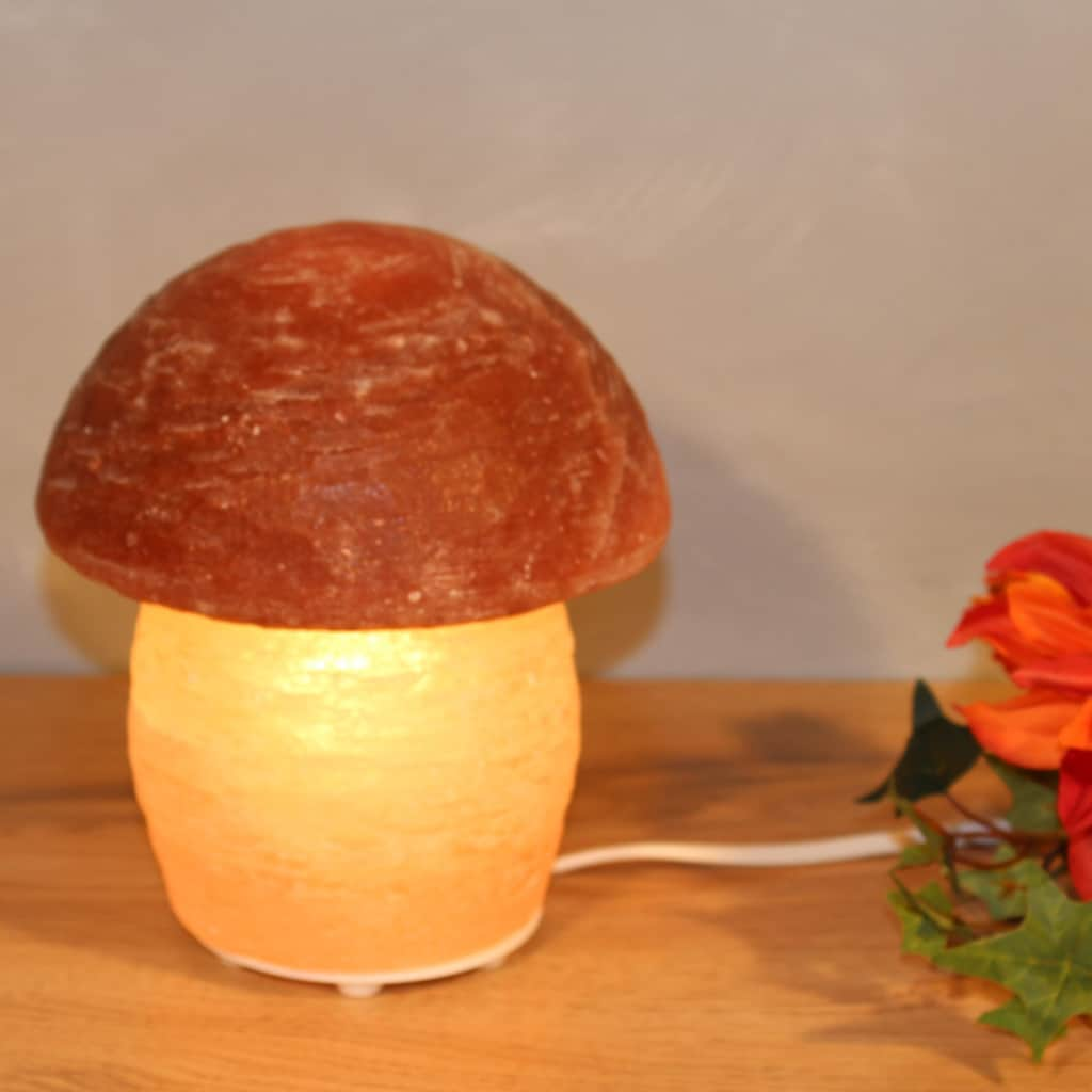 HIMALAYA SALT DREAMS Salzkristall-Tischlampe »Pilz«