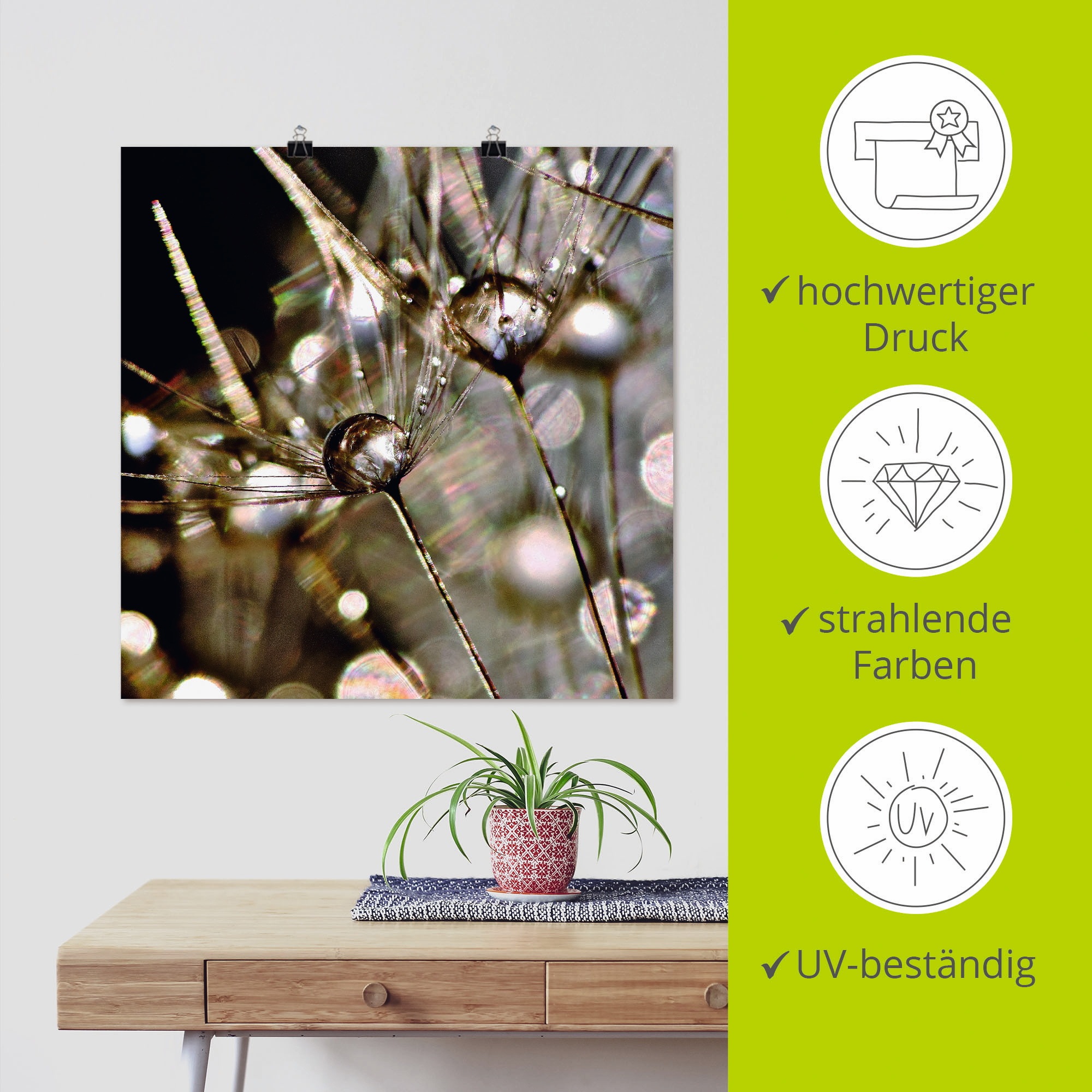 Artland Wandbild »Pusteblume abstrakt«, Blumen, (1 St.), als Leinwandbild, Poster, Wandaufkleber in verschied. Größen