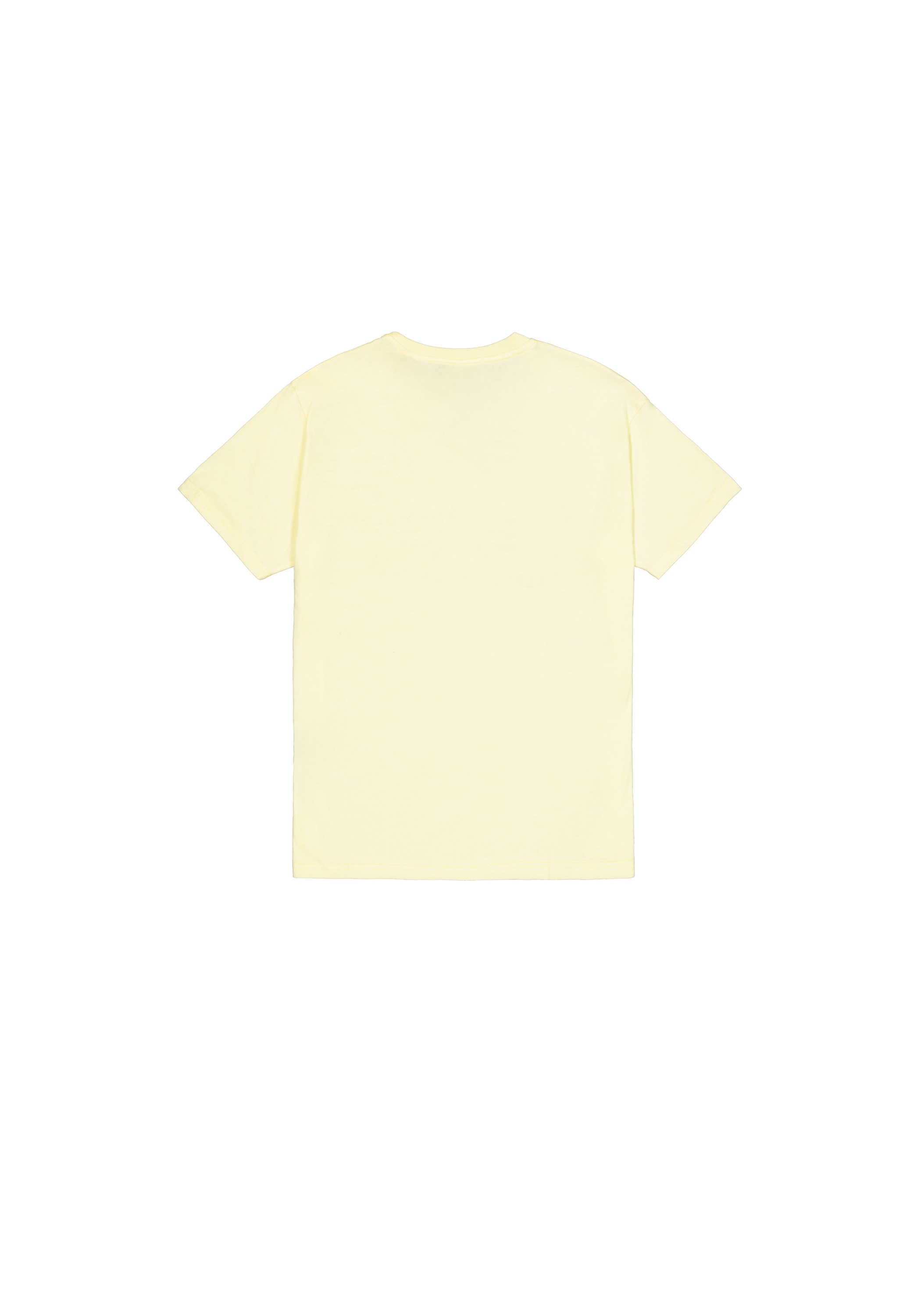 Alpha Industries T-Shirt »Basic T-Shirt BL T-Shirt«