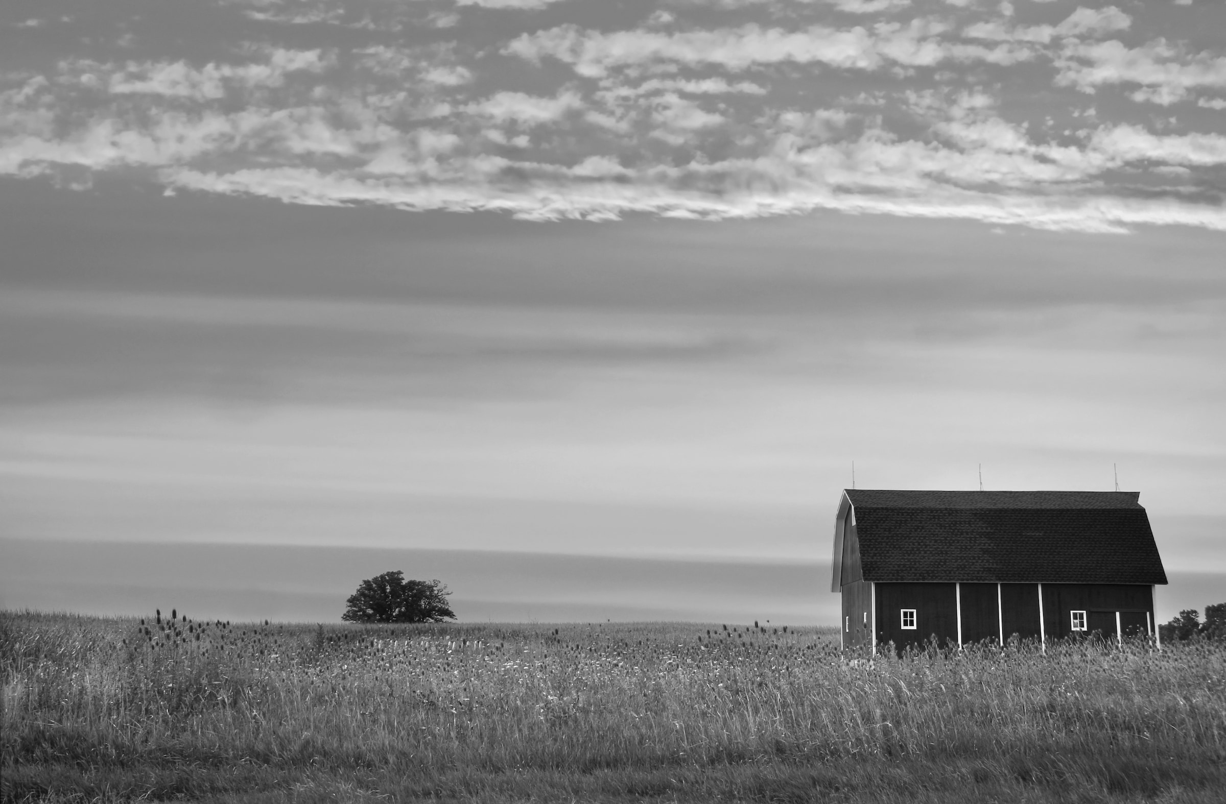 Papermoon Fototapete »Farm Schwarz & Weiß« günstig online kaufen