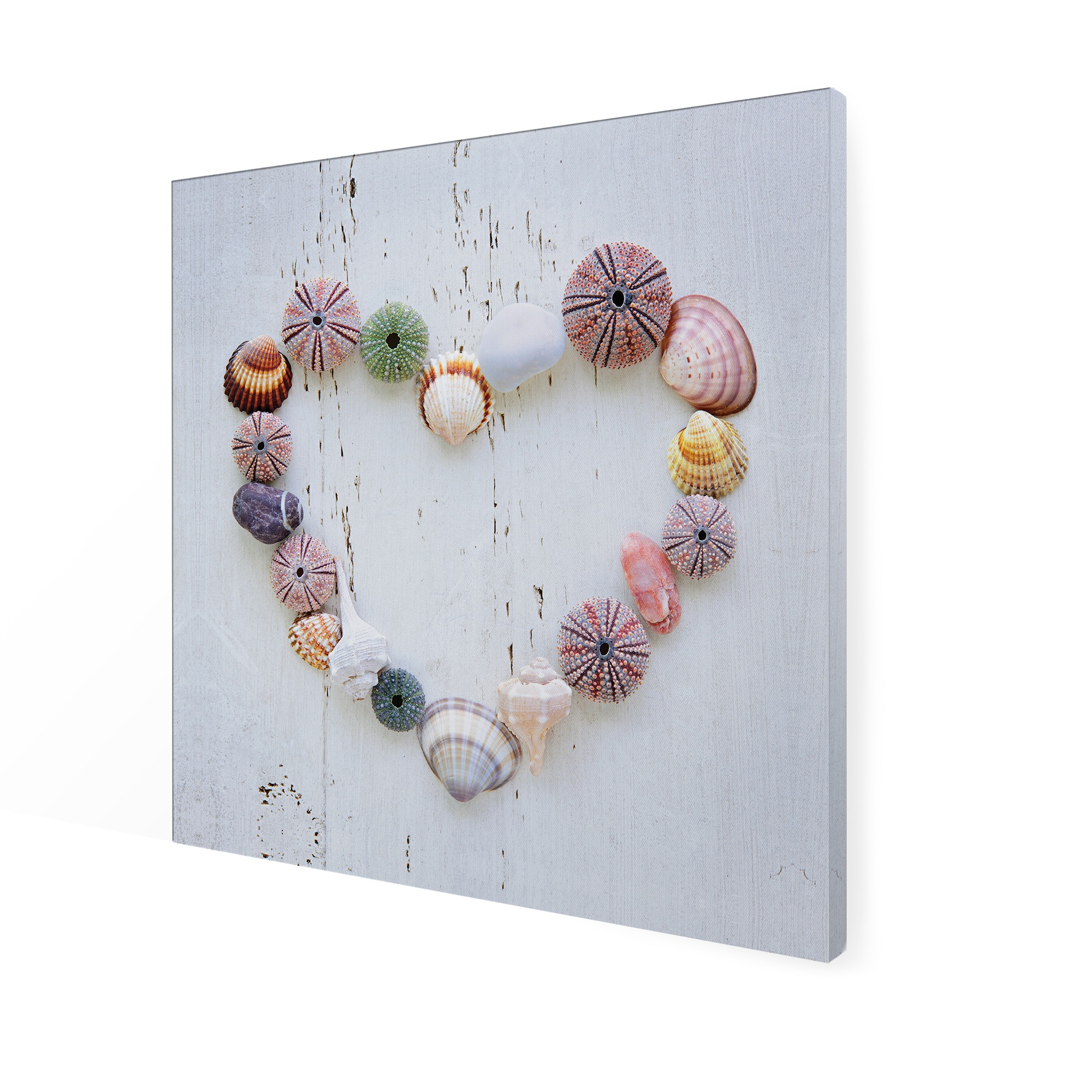 Art for the home Leinwandbild »Outdoor Muschelherz 50x70cm«, Romantisch-Strand, (1 St.), Leinwand für draußen -Muschelherz - 50x50cm