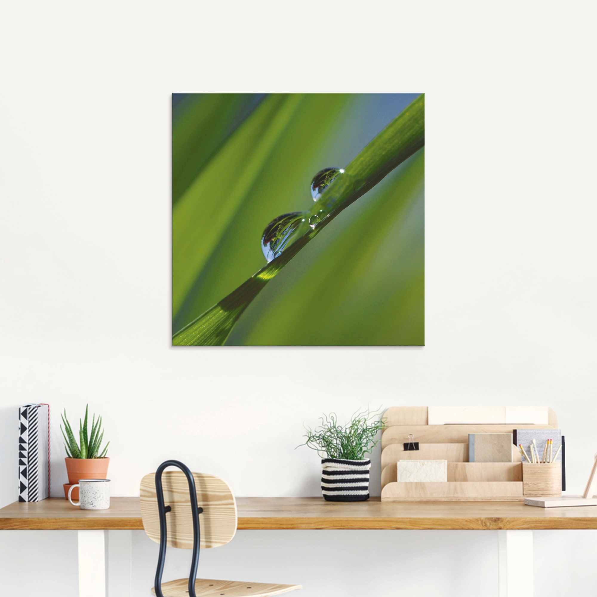 Artland Glasbild »Wassertropfen auf Grashalm«, Gräser, (1 St.), in verschiedenen Größen