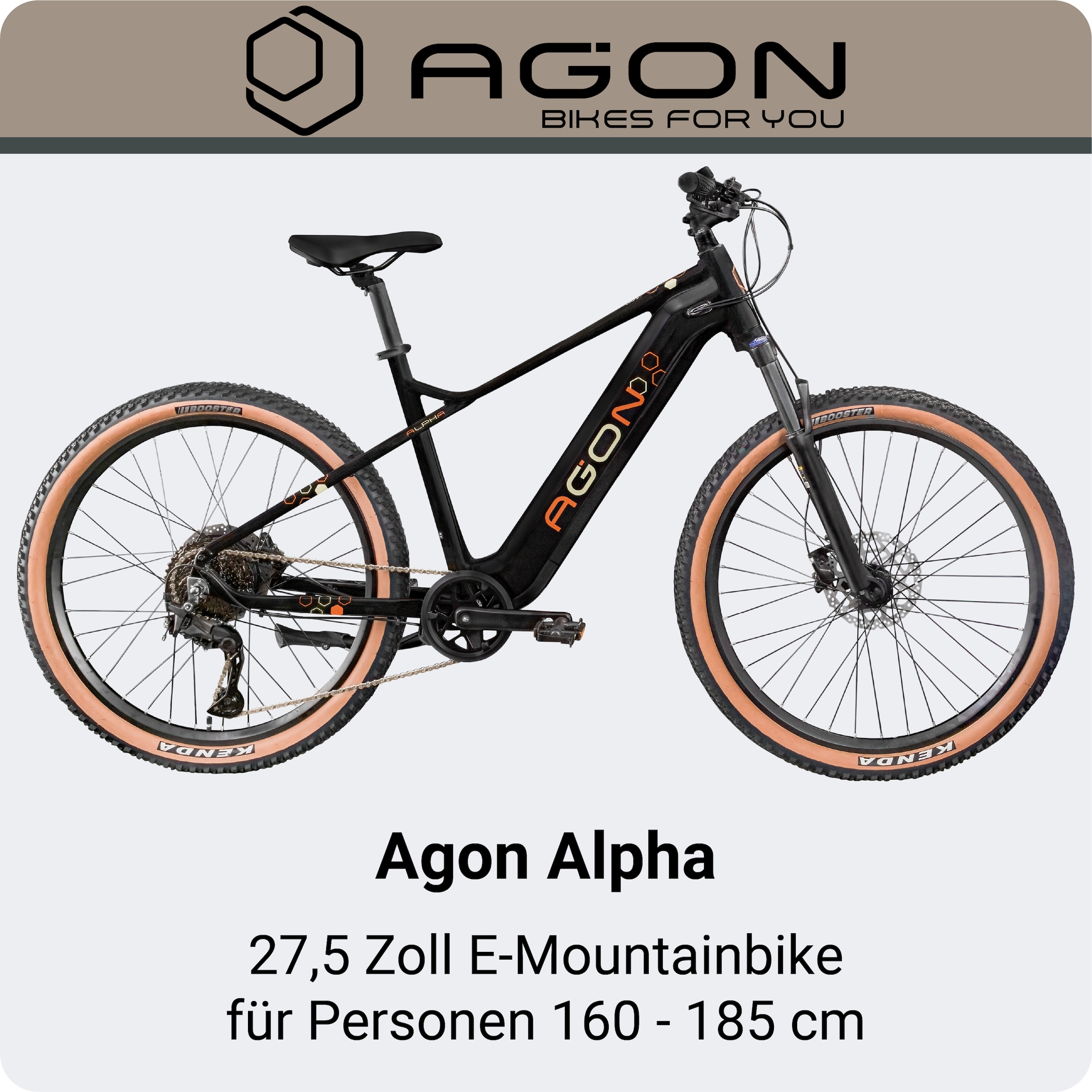 AGON »Alpha« 10 Gang Shimano Deore SGS T6000 Schaltwerk Kettenschaltung Heckmotor 250 W E Bike Mountainbike Herren oder Damen 160 - 185 cm