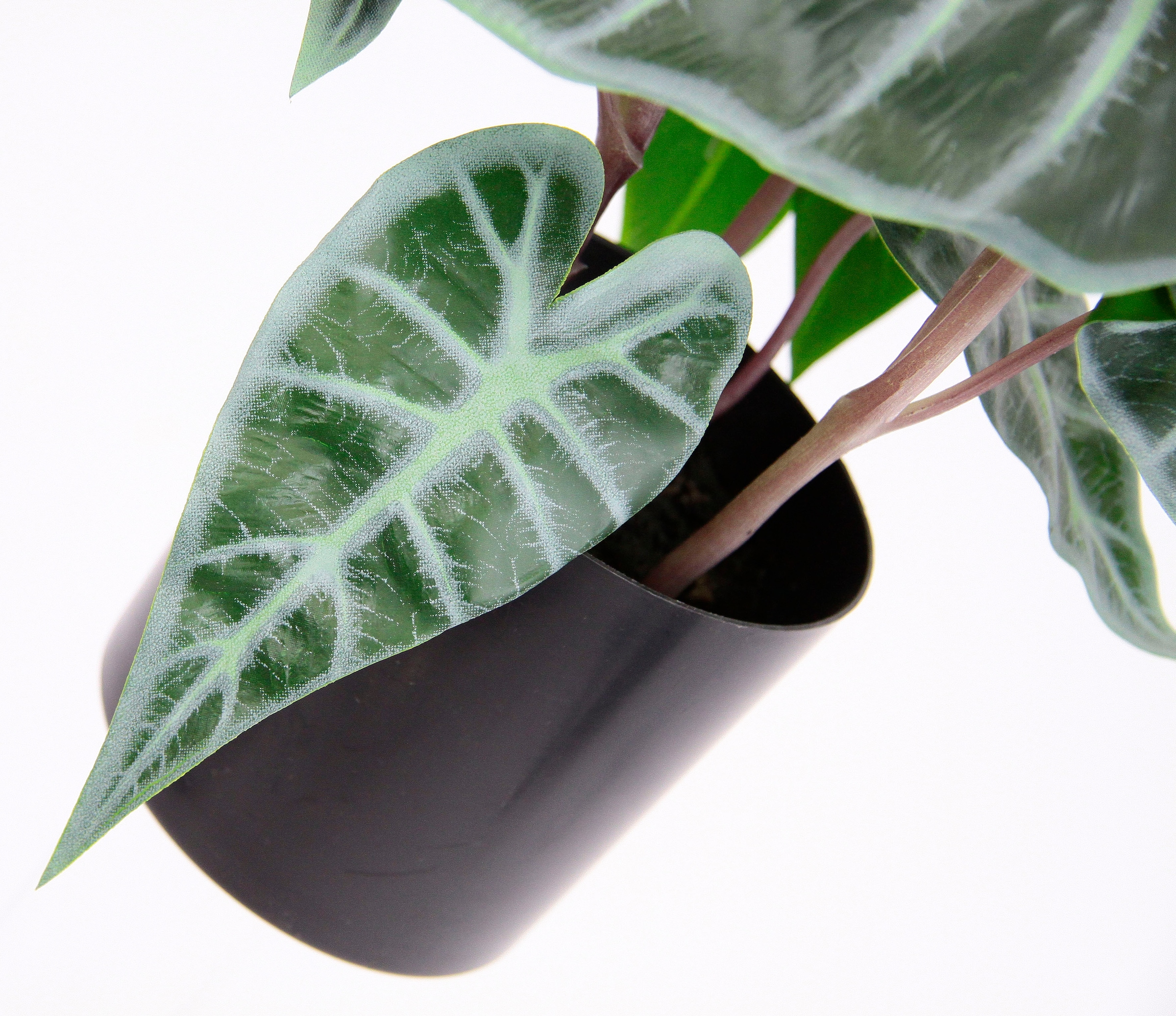 I.GE.A. Kunstpflanze »Calathea« Kunst-Pflanze Seidenblumen ZimmerpflanzeZebrina Alocasia Sanderiana