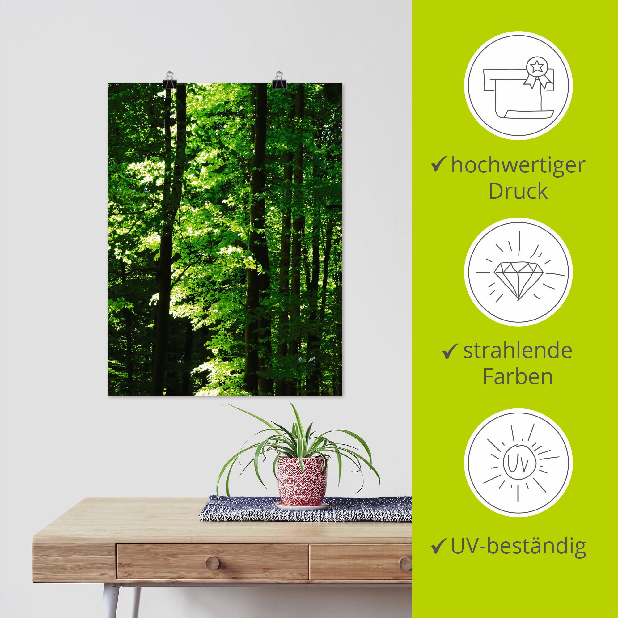 Artland Poster »Im Buchenwald«, Wald, (1 St.), als Alubild, Leinwandbild, Wandaufkleber oder Poster in versch. Größen