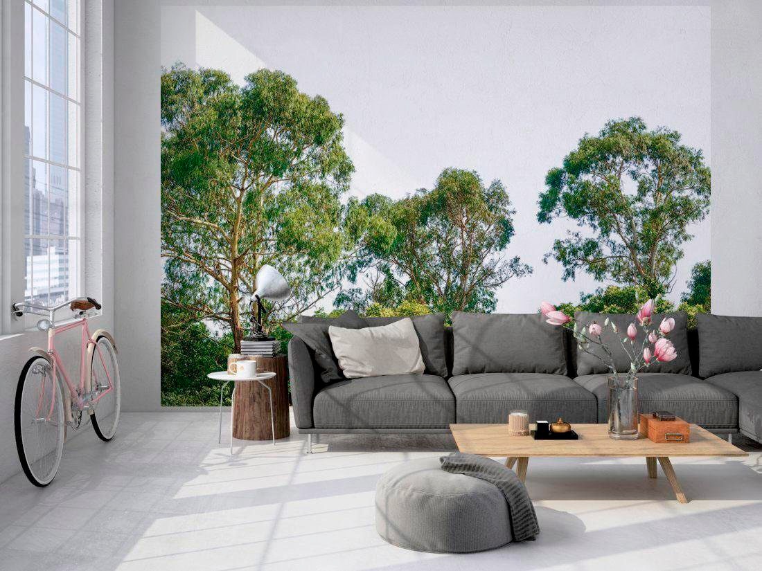 living walls Fototapete »Baumwipfel Vlies« glatt Dschungeltapete Fototapete Dschungel Grün Weiß 3,50 m x 2,55 m Tapete