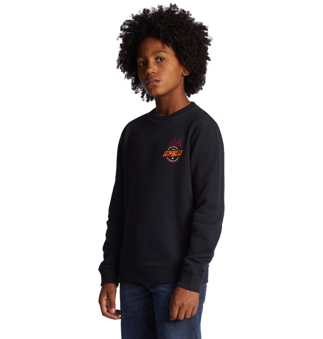 DC Shoes Sweatshirt »Fiery«