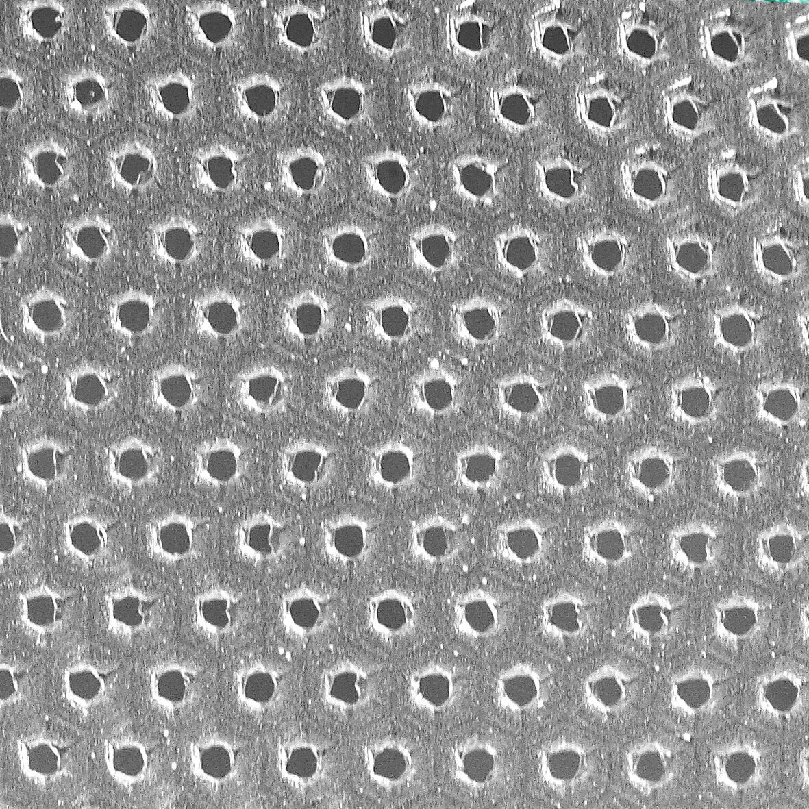 Windhager Schutzplane »SUPERGROW« Frühbeet-Folie, 5x1,35 m