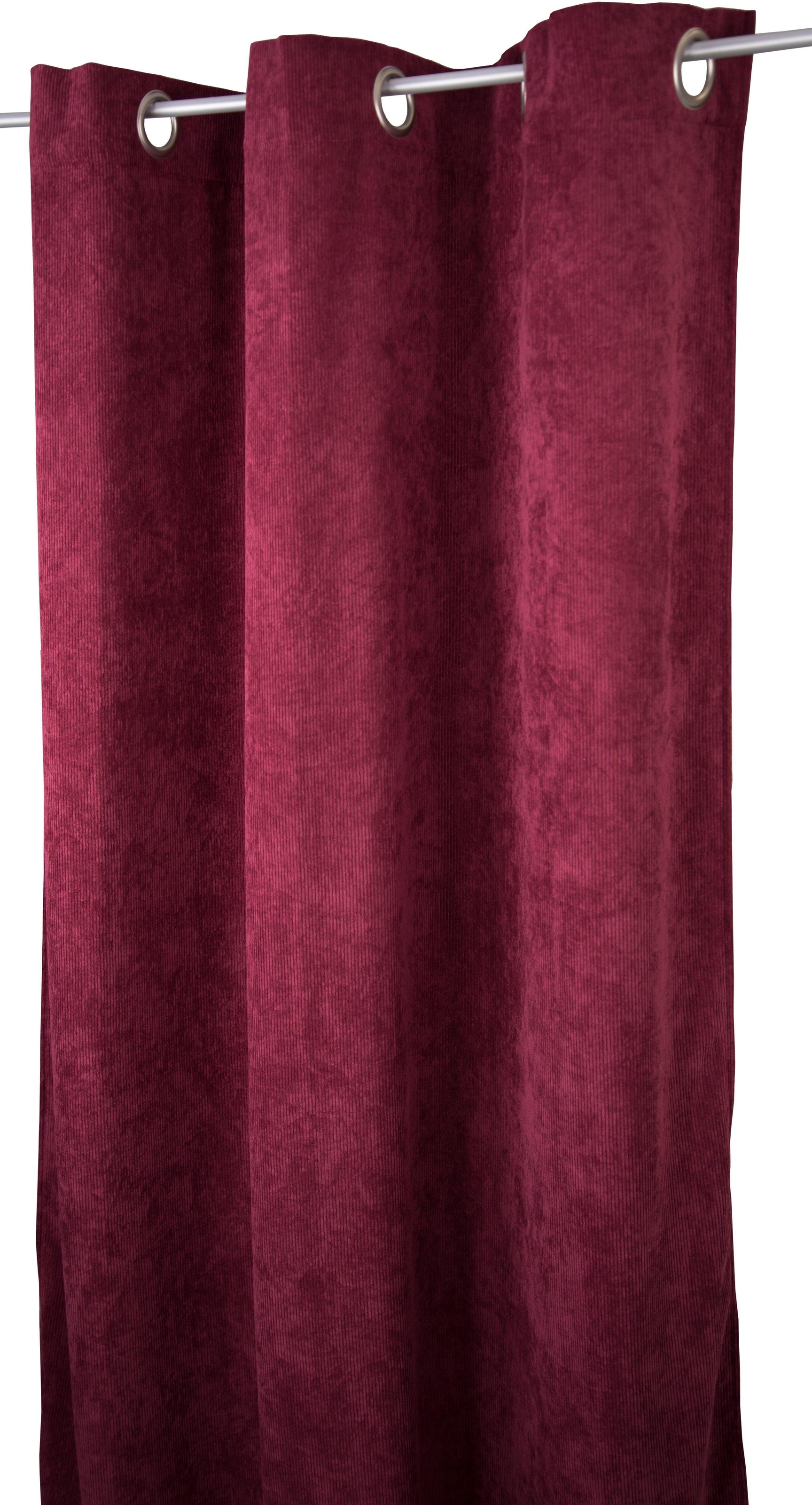 TOM TAILOR HOME Vorhang »CASUAL CORD«, (1 St.), HxB: 245x140 günstig online kaufen
