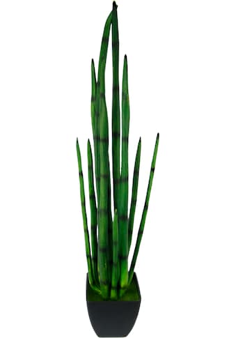 I.GE.A. Kunstpflanze »Aloe im Topf«, (1 St.) kaufen