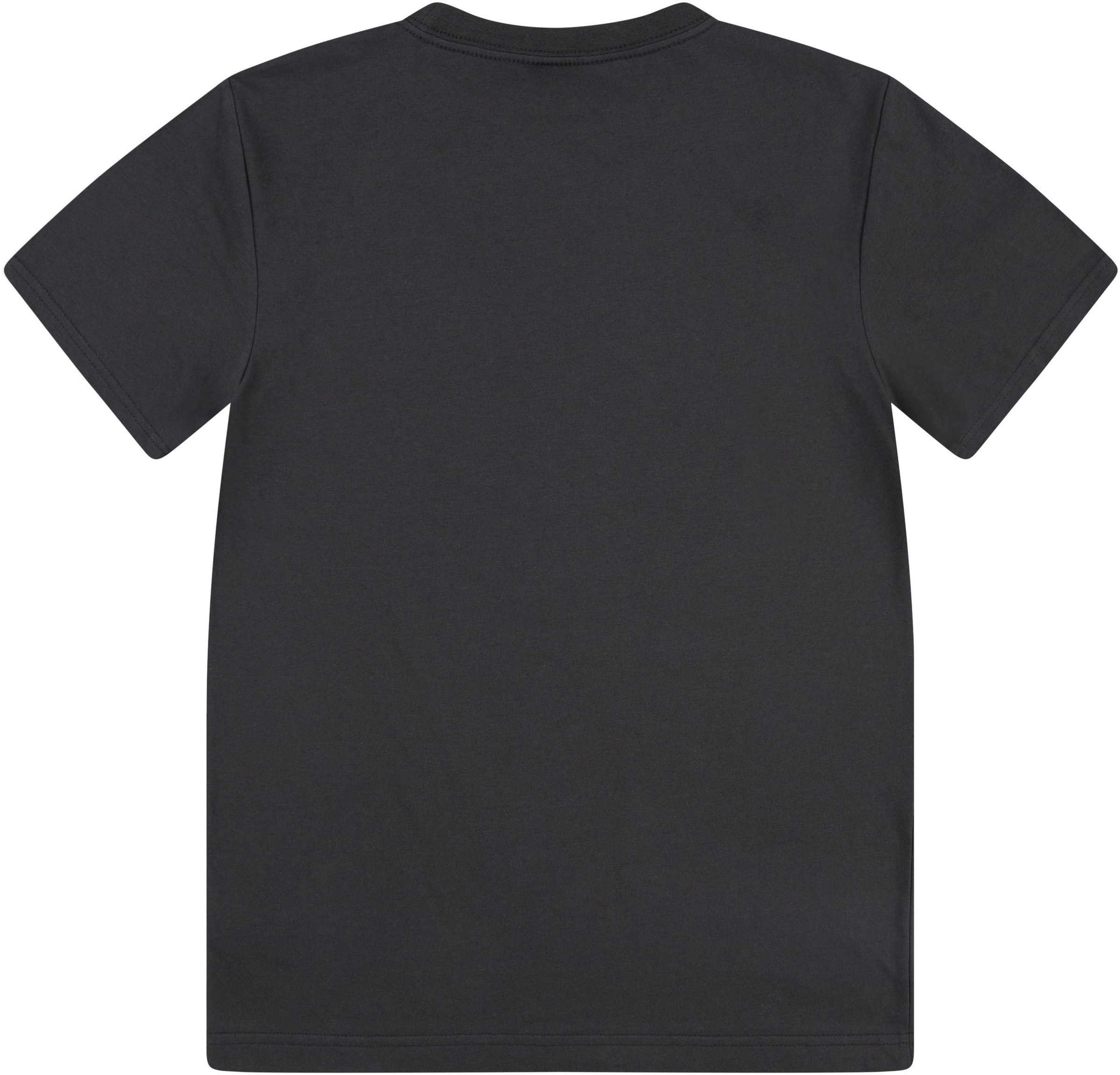 Levi's® Kids T-Shirt »LVB SOAR LIKE AN EAGLE TEE«, mit Frontprint im Used Look