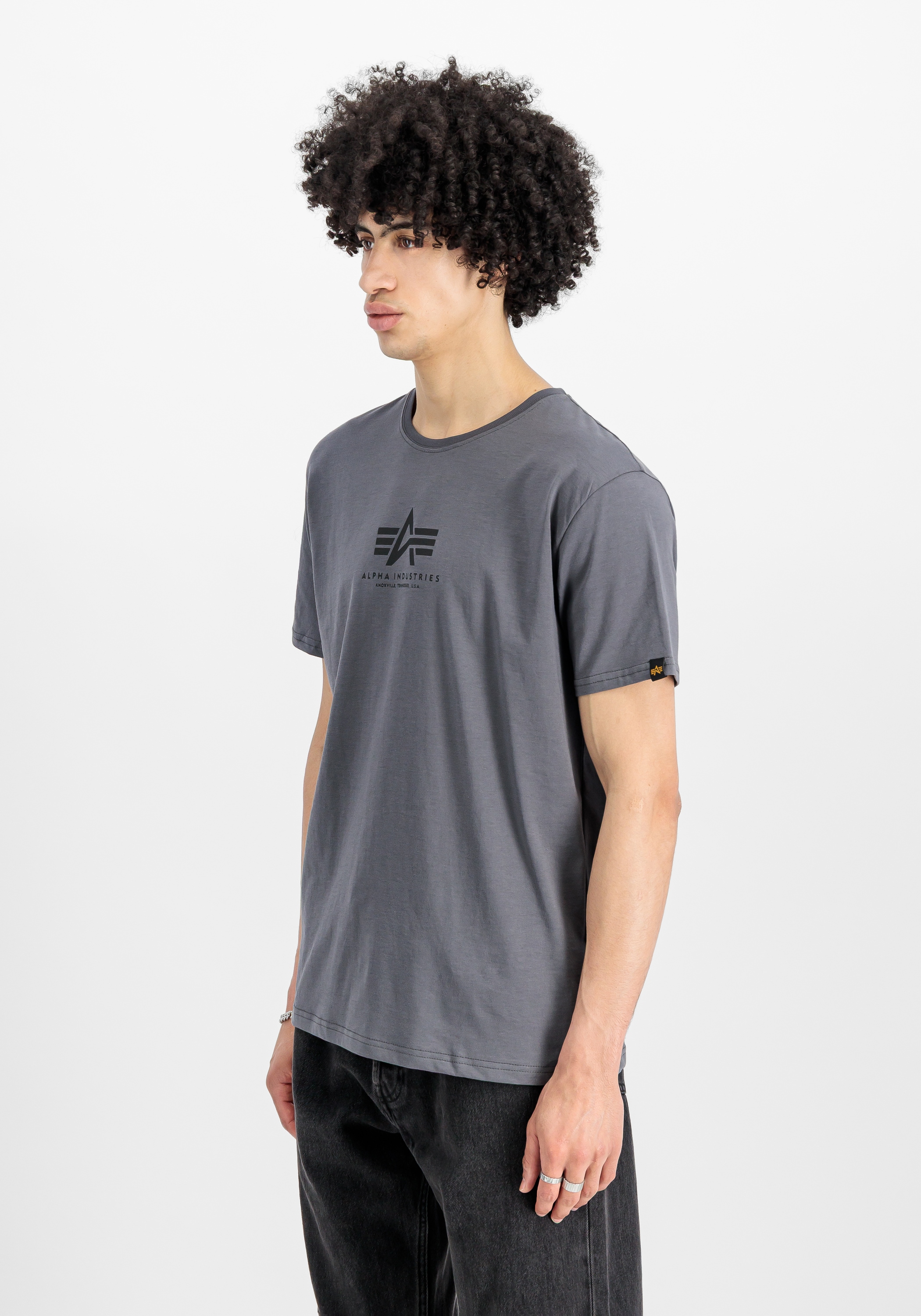 Alpha Industries T-Shirt »Alpha Industries Men - T-Shirts Basic T Mid Logo«