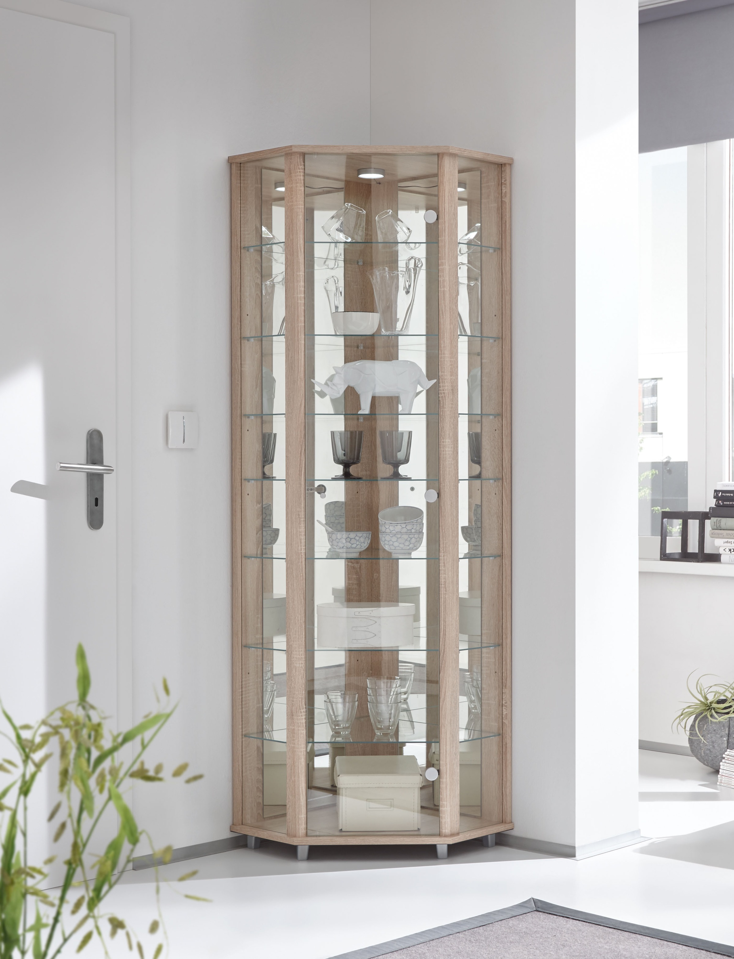 fif möbel Eckvitrine »TRIO Höhe ca. 172 cm, ink. Beleuchtung«, Eckvitrine/Glasvitrine 1x Glastür, perfekt für Sammler, Sammlervitrine