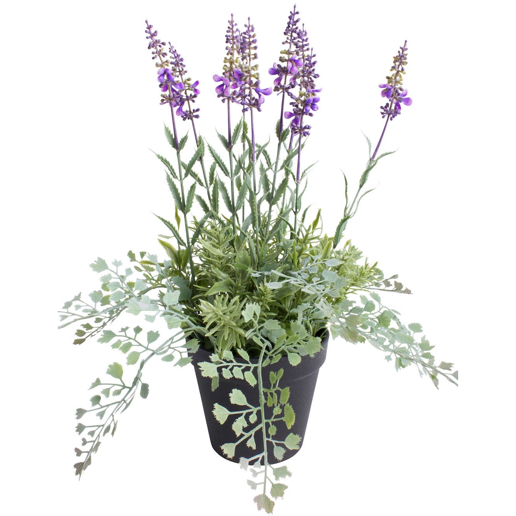 Botanic-Haus Künstliche Zimmerpflanze »Lavendel - Kräutertopf«