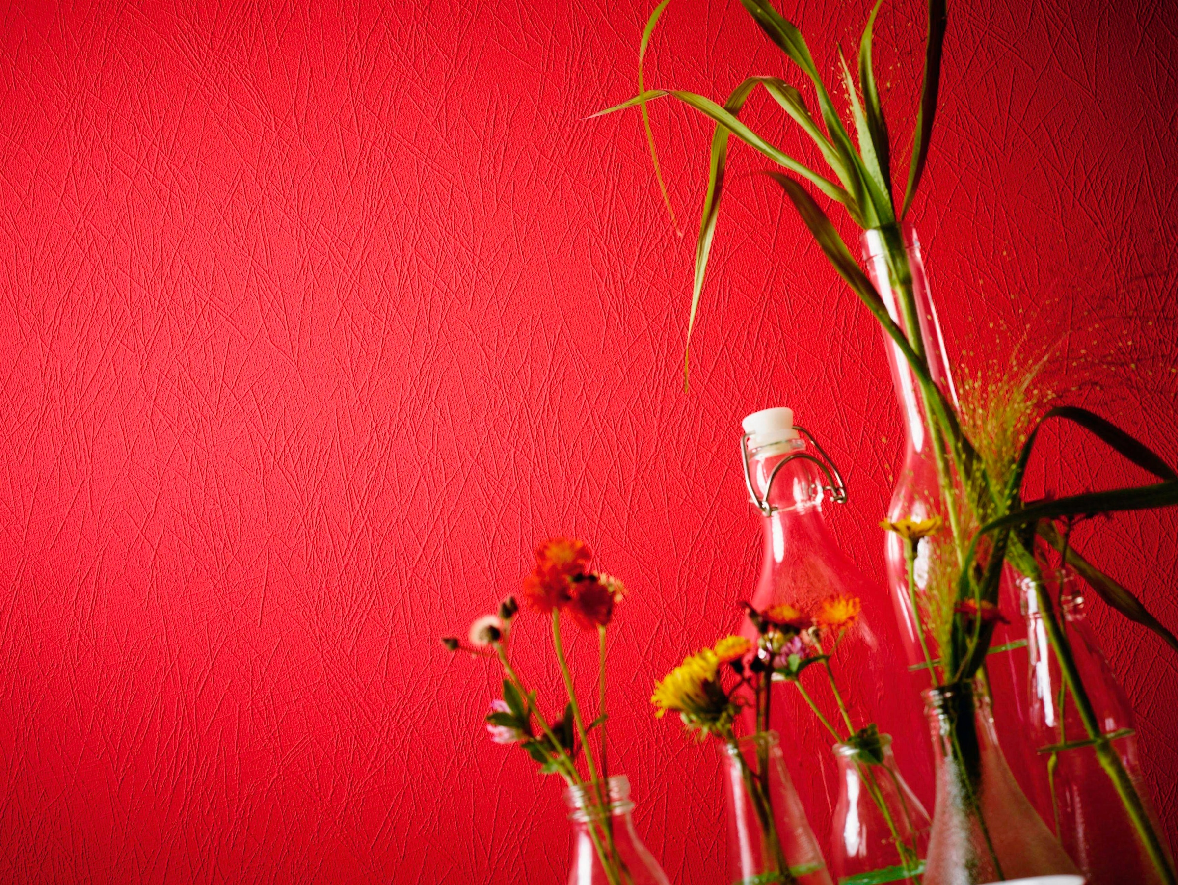 A.S. Création Vliestapete »Meistervlies« einfarbig | uni | unifarben leicht strukturiert Tapete einfarbig Überstreichbar matt leicht strukturiert Tapeten Optik