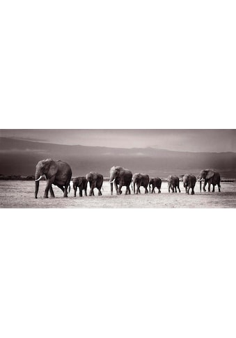 Reinders! Holzbild »Deco Panel 52x156 Line of Elephants« kaufen