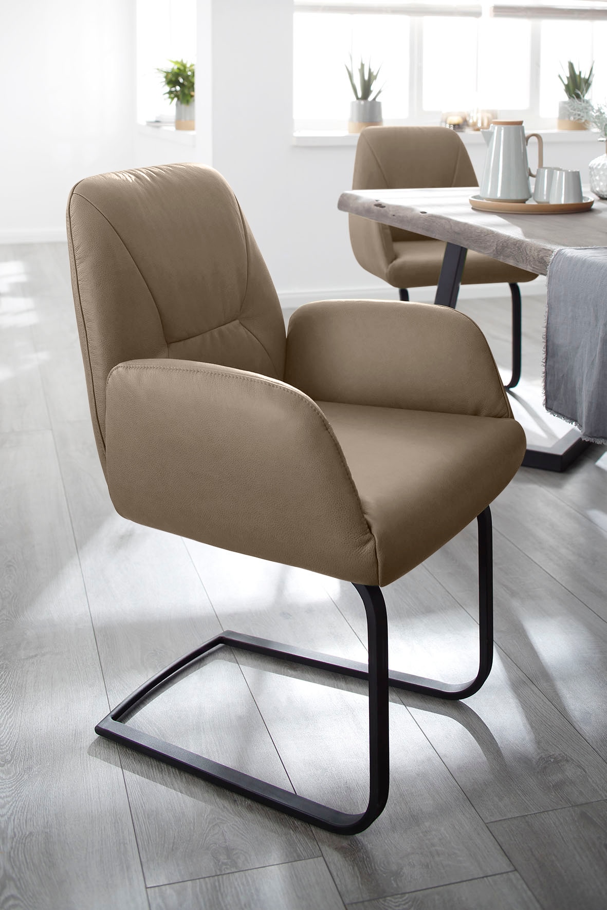 W.SCHILLIG Freischwinger »ole« () Gestell in Schwarz pulverbeschichtet günstig online kaufen