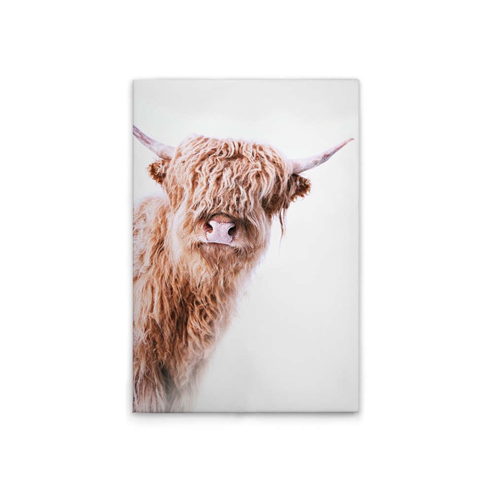 A.S. Création Leinwandbild »Highland Cattle 2 - Wandbild Weiß Braun Keilrah günstig online kaufen