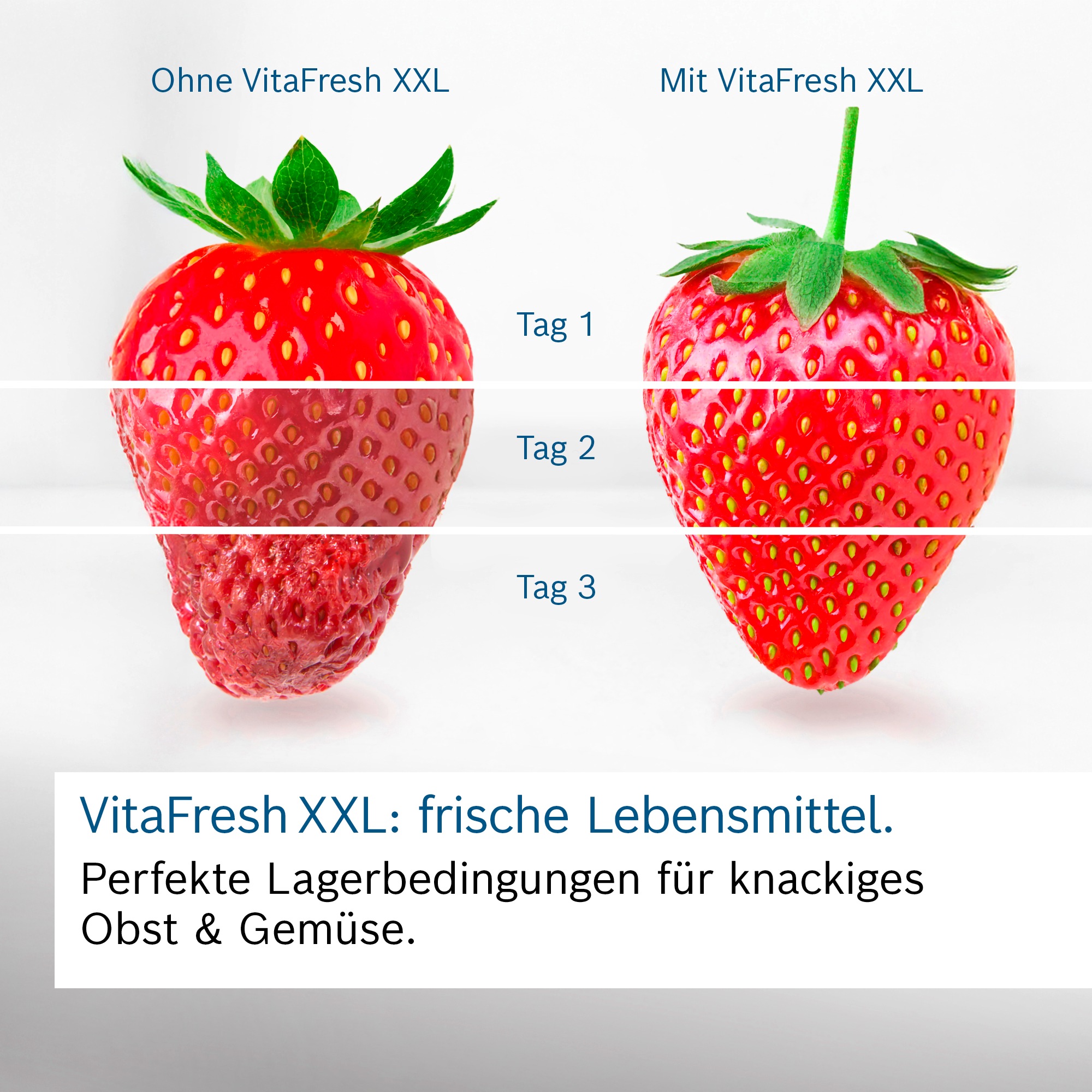 BOSCH Einbaukühlgefrierkombination Serie 4 »KBN96VFE0« günstig online kaufen