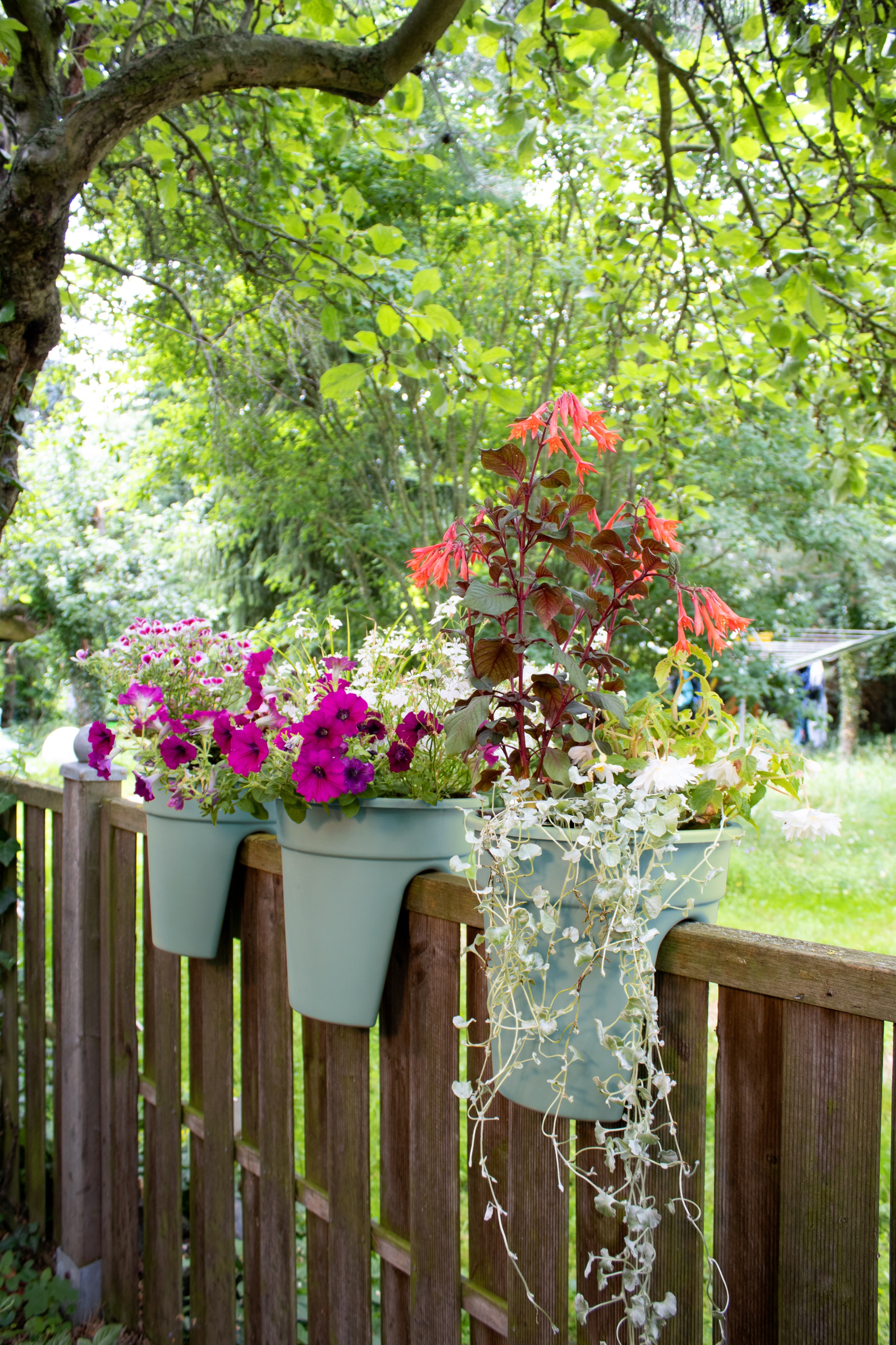 KHW Balkonkasten »Flowerclip«, (Set, 3 St.), ØxH: 27x27,5 cm