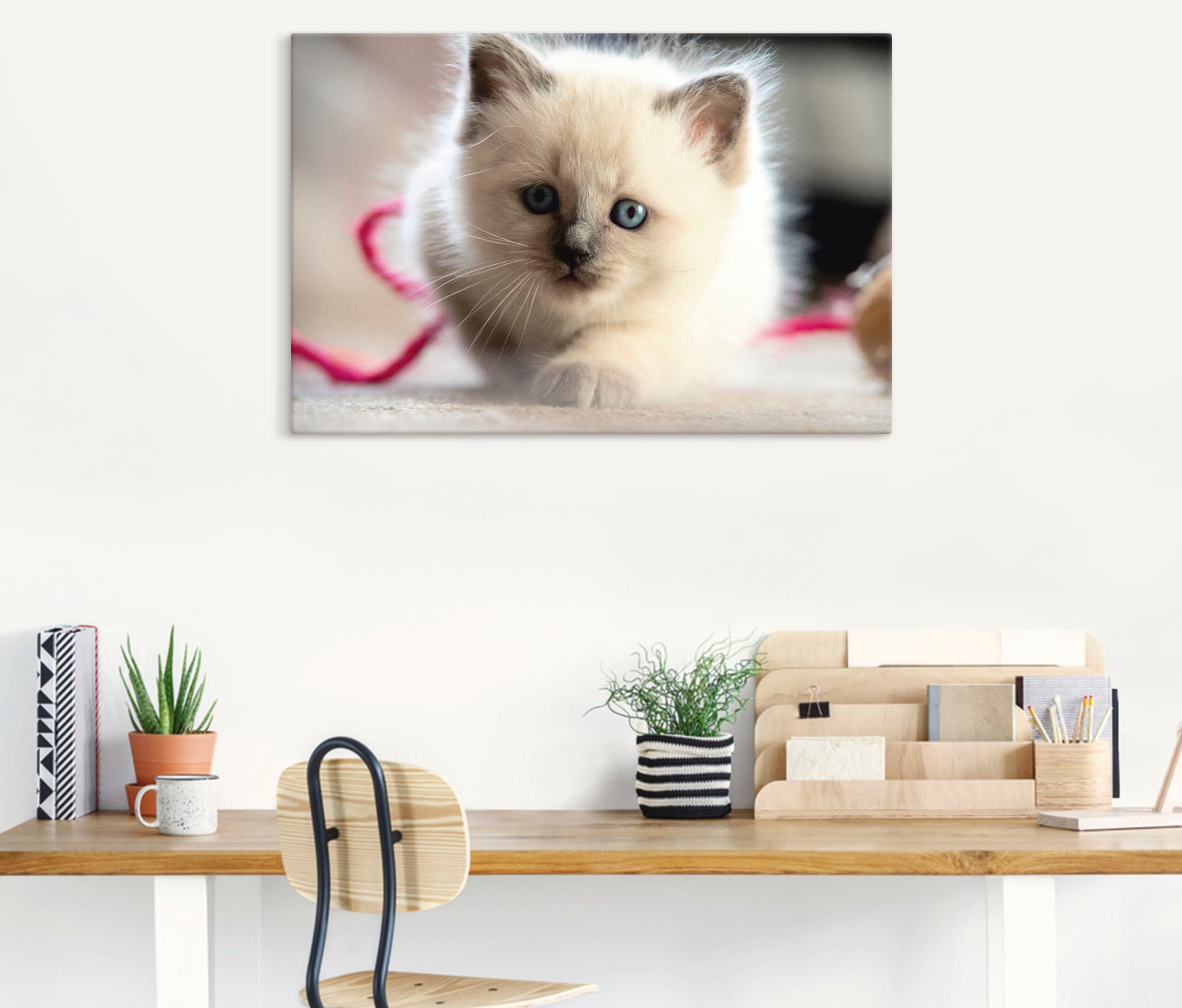 Artland Leinwandbild »Heilige Birma Katze im Spiel«, Katzenbilder, (1 St.), auf Keilrahmen gespannt