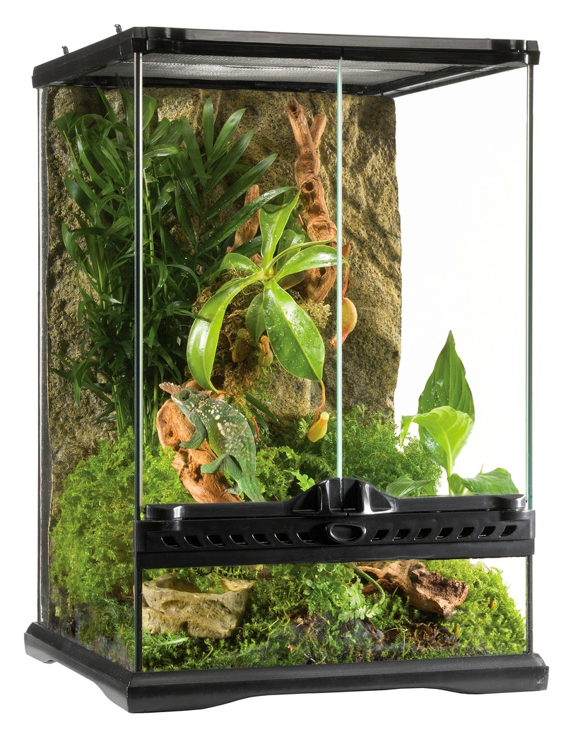 Terrarium, BxTxH: 30x30x45 cm