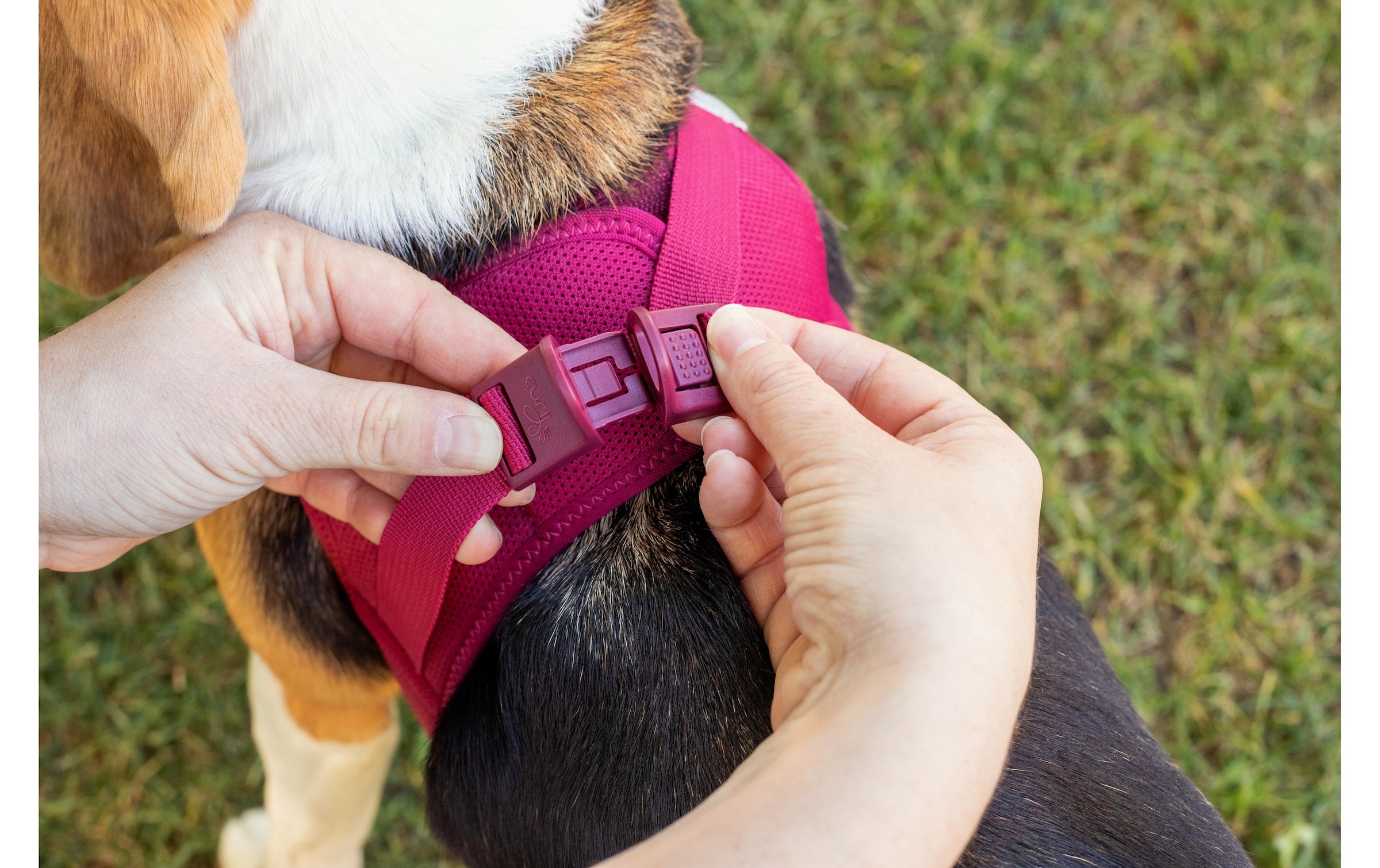 Curli Hunde-Geschirr »Vest Air-Mesh M« Polyester Hunderasse: Teckel