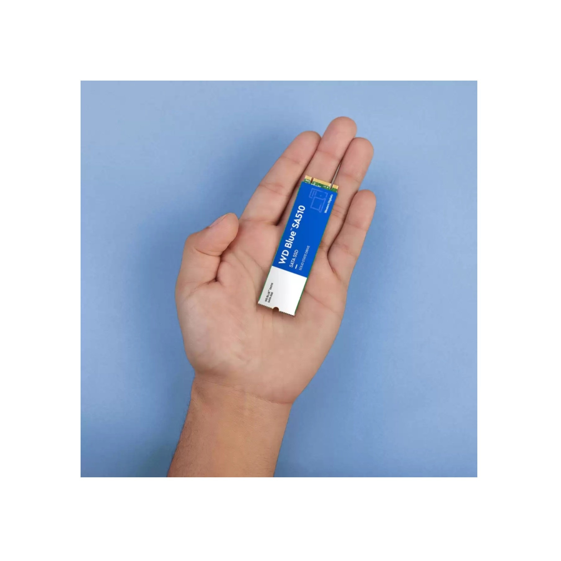 Sandisk interne SSD »SA510«