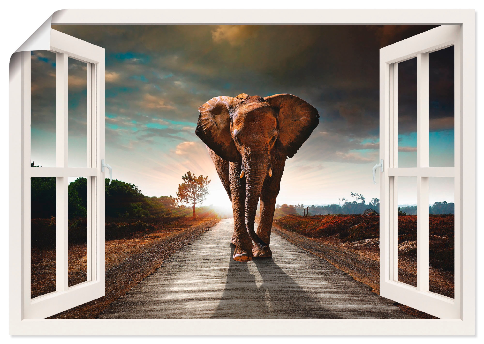 Artland Wandbild »Elefant auf Straße«, Fensterblick, (1 St.), als  Leinwandbild, Wandaufkleber oder Poster in versch. Größen auf Rechnung  bestellen