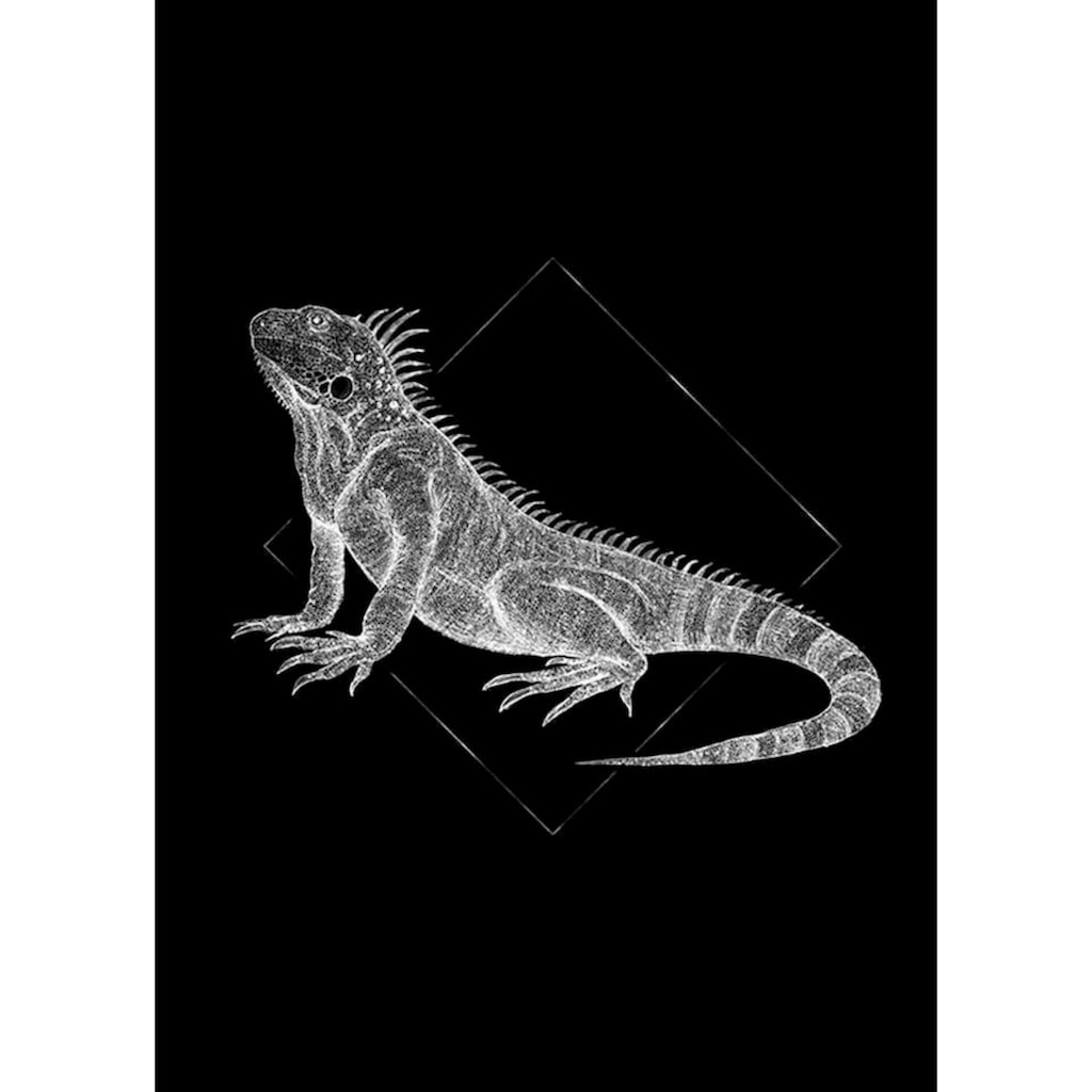 Komar Poster »Iguana Black«, Tiere, (1 St.)