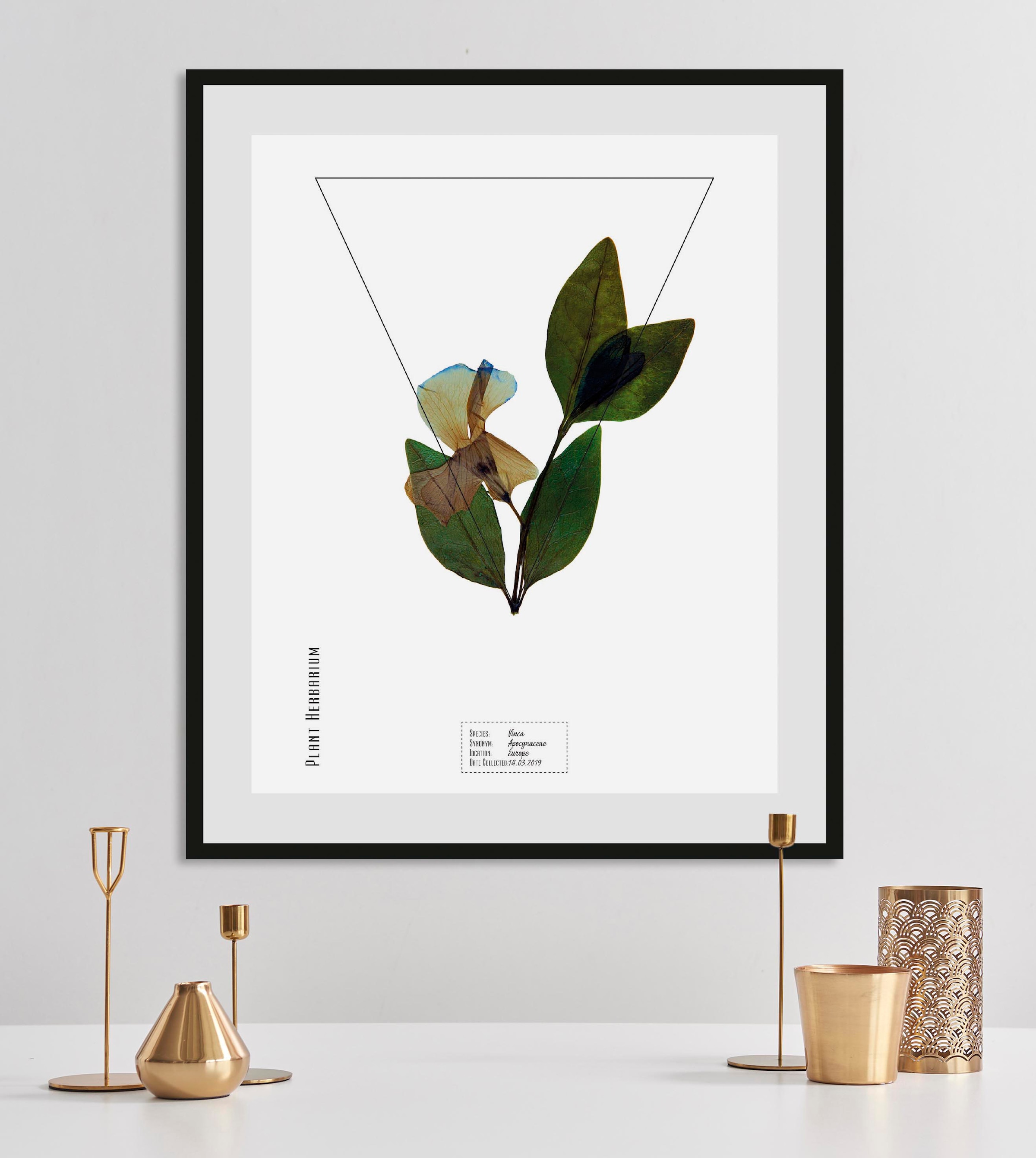 queence Bild »Vinca« Pflanzen   Pflanzenbilder   Schriftzug 1 Stk. tlg. HD günstig online kaufen