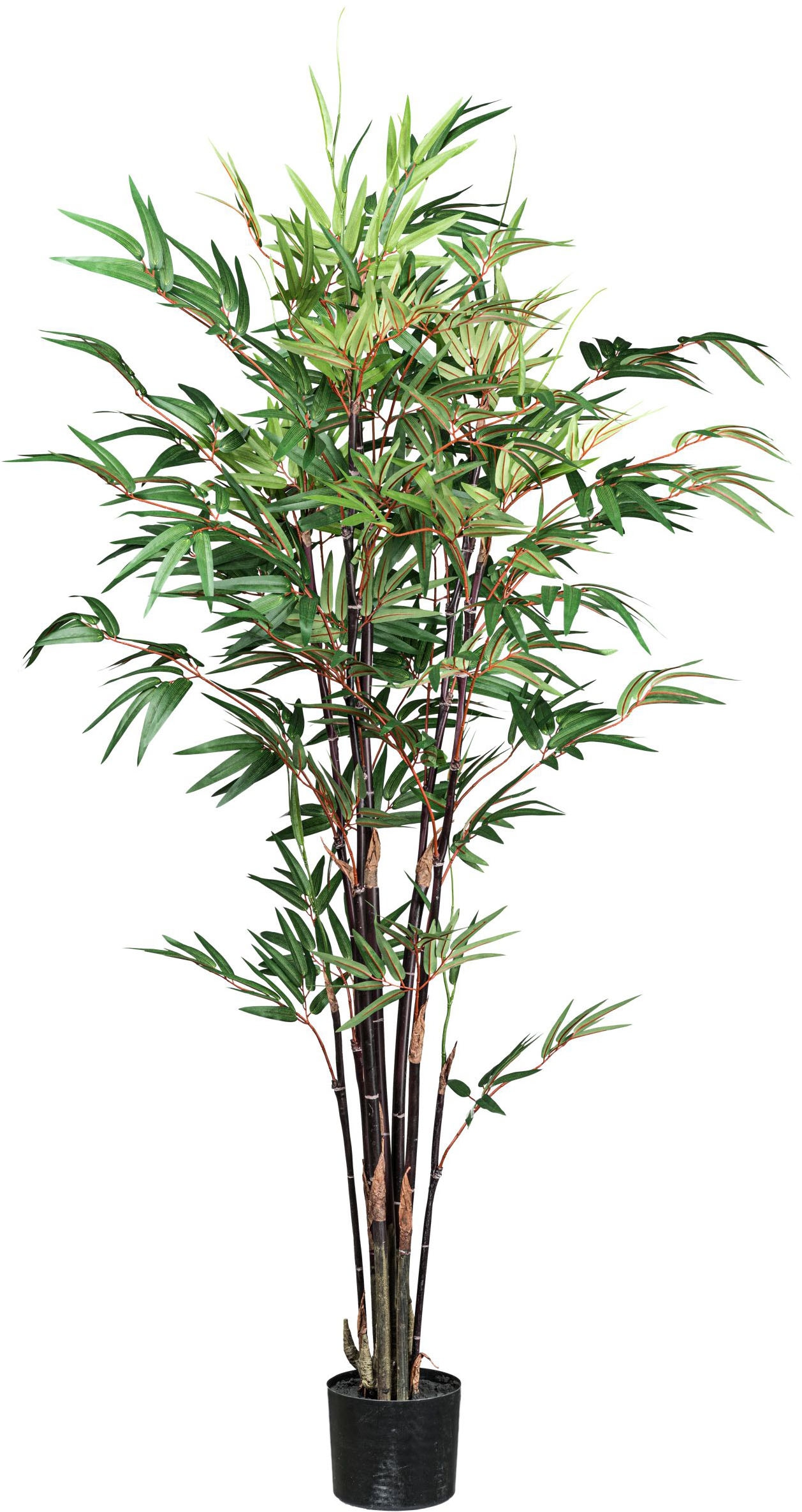 Creativ green Kunstpflanze »Bambus Chinese Wonder« mit 7 Stämmen günstig online kaufen