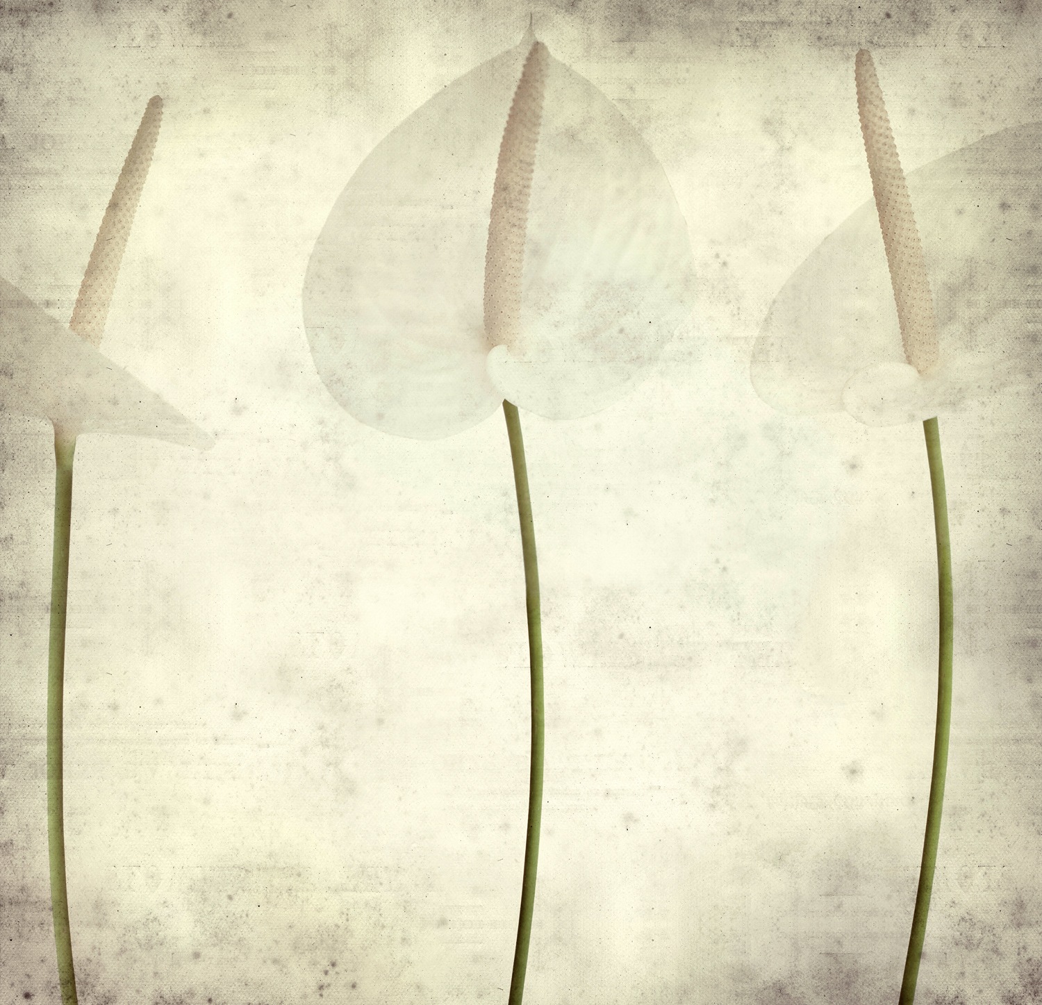 queence Leinwandbild »Fleur« Blumenbilder   Blätter   Blätterbilder 1 Stk. günstig online kaufen