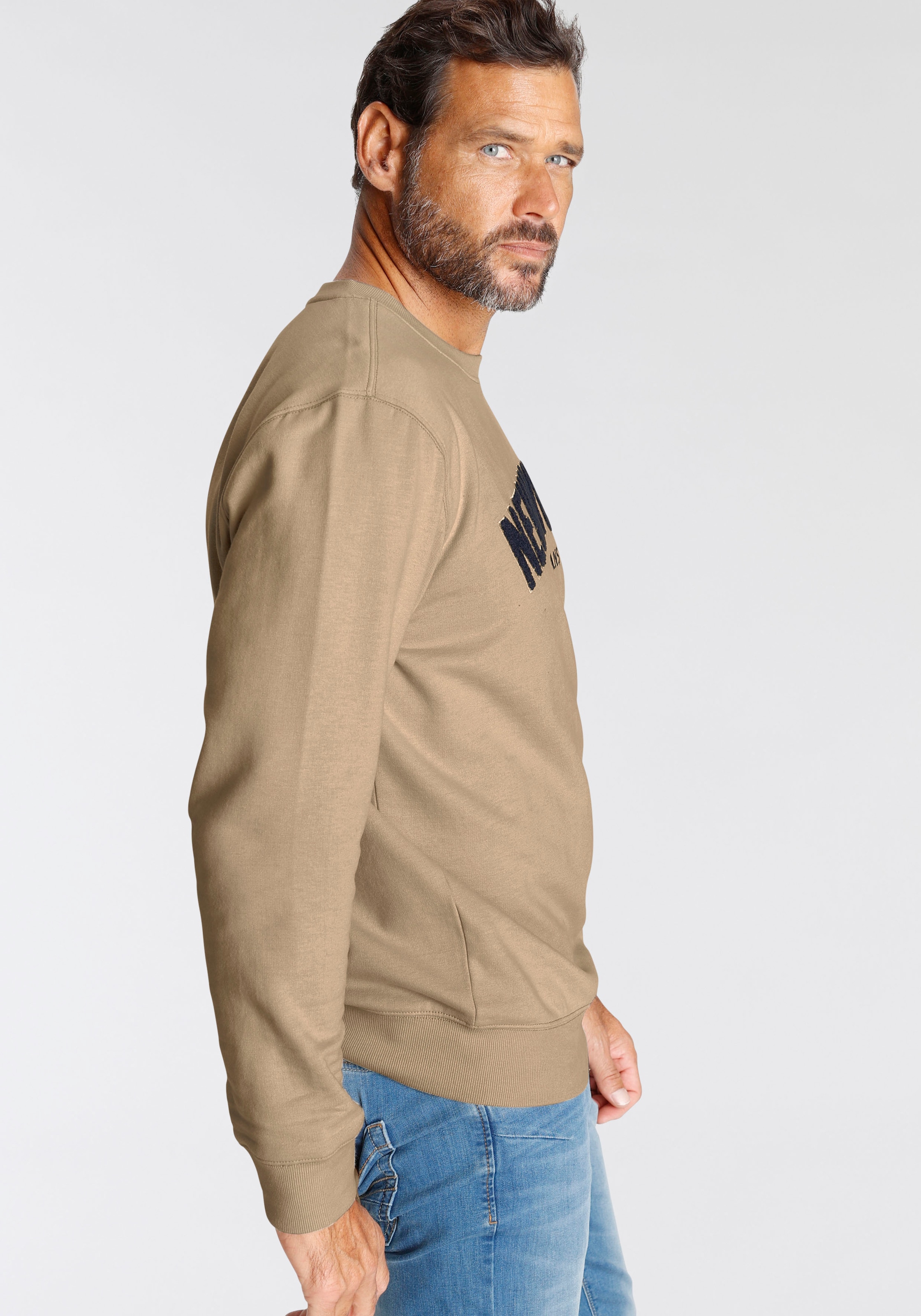 H.I.S Sweater, Langarm, lockere Passform, bestickte Optik, Rundhalsausschnitt