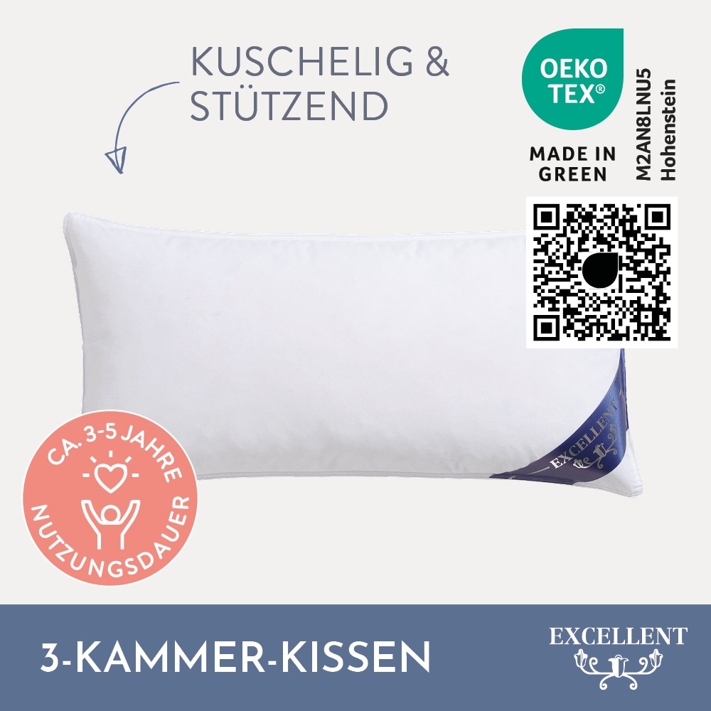 Excellent 3-Kammer-Kopfkissen »Davos Dreikammerkissen in den Größen 40x80 und 80x80 cm erhältlich.« Füllung: 60%Gänsedaunen, 40% Gänsefedern (Außenkammer) 1 Stk. tlg. hergestellt in Deutschland, allergikerfreundlich