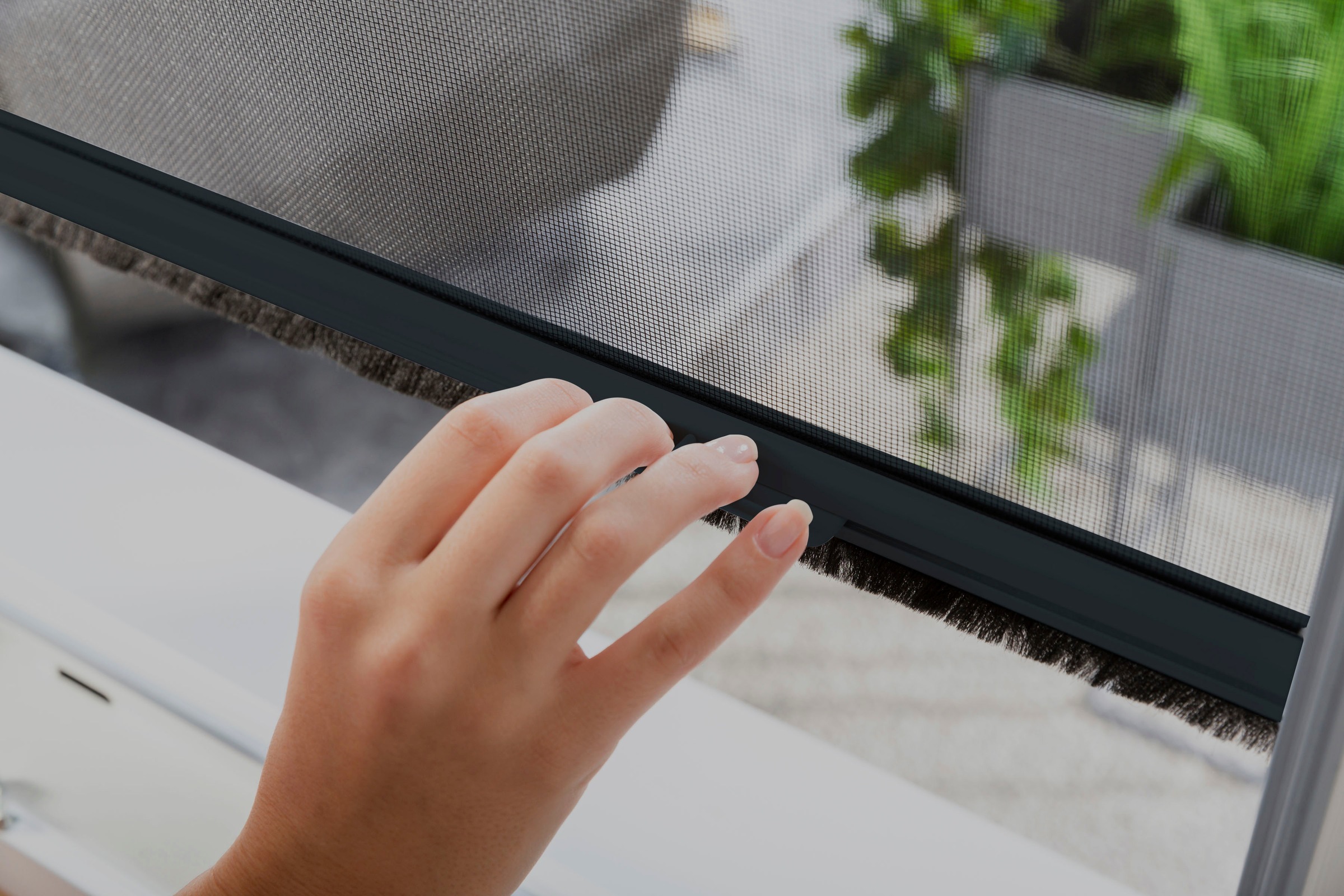 hecht international Insektenschutzrollo »SMART«, transparent, Insektenschutz, für Fenster, kürzbar
