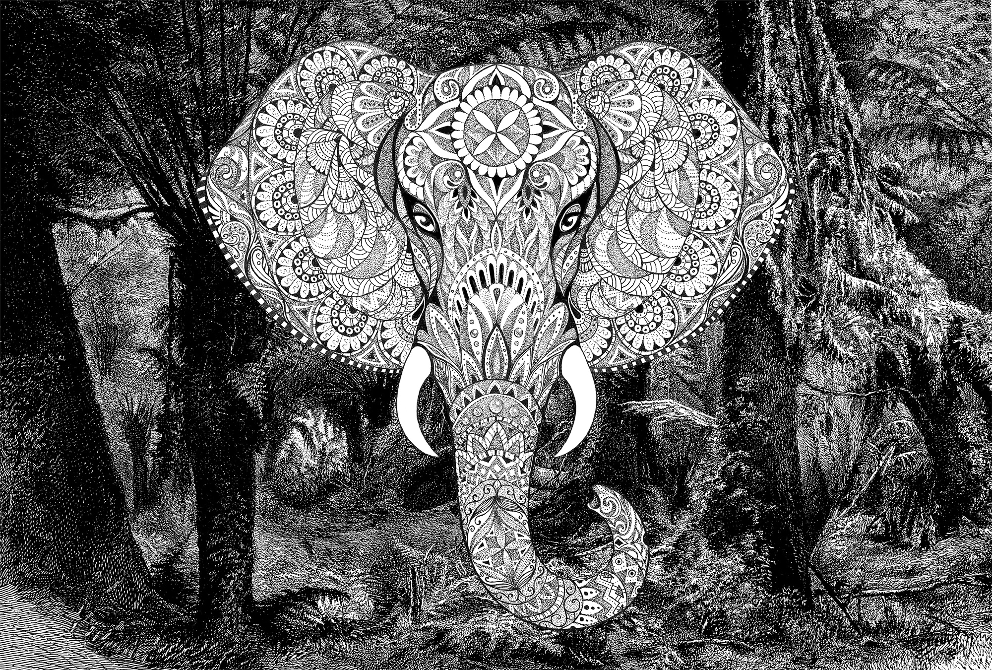 Architects Paper Fototapete »Atelier 47 Elephant Head 1« orientalisch glatt günstig online kaufen