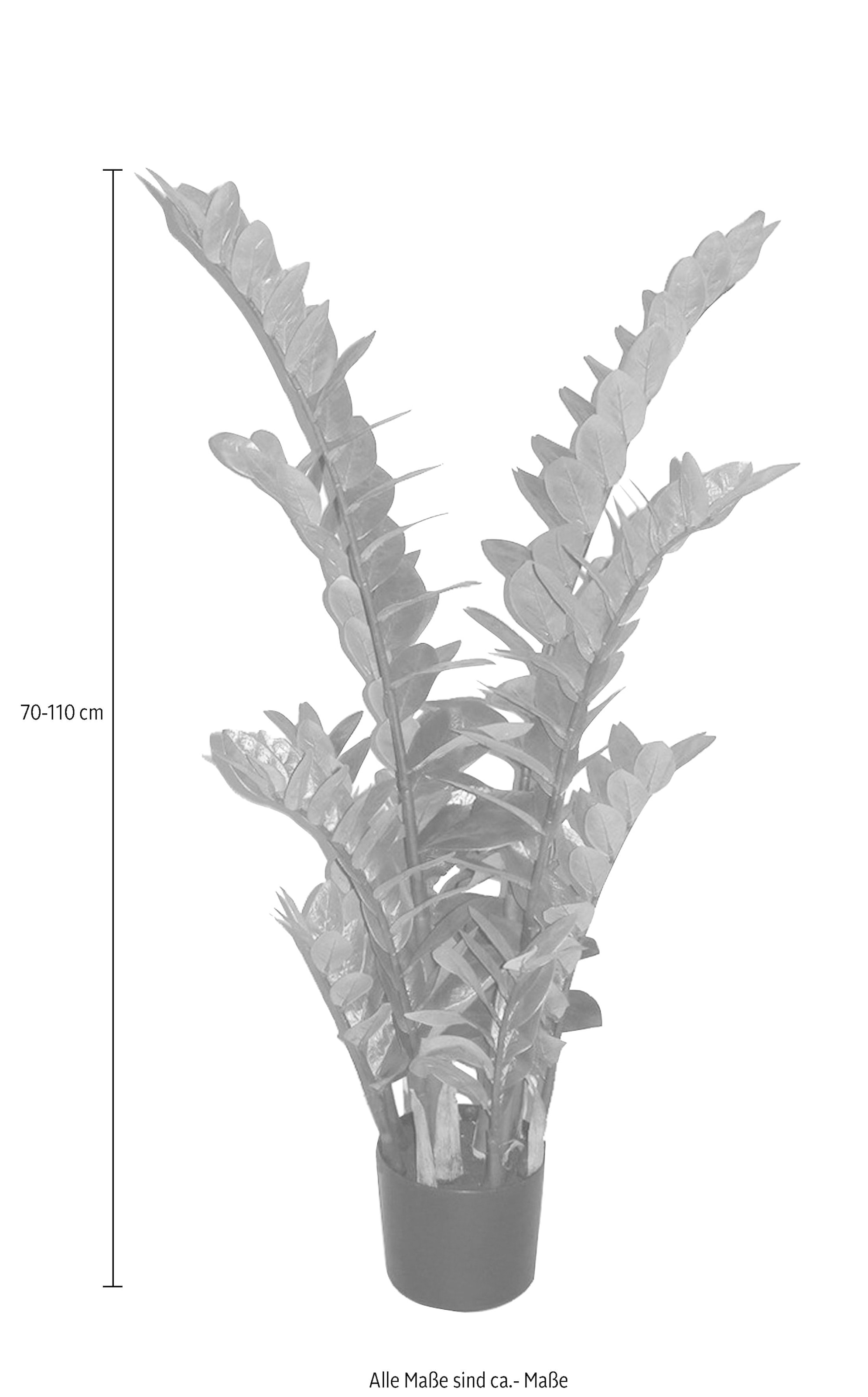 Creativ green bestellen Raten auf »Zamifolia« Kunstpflanze