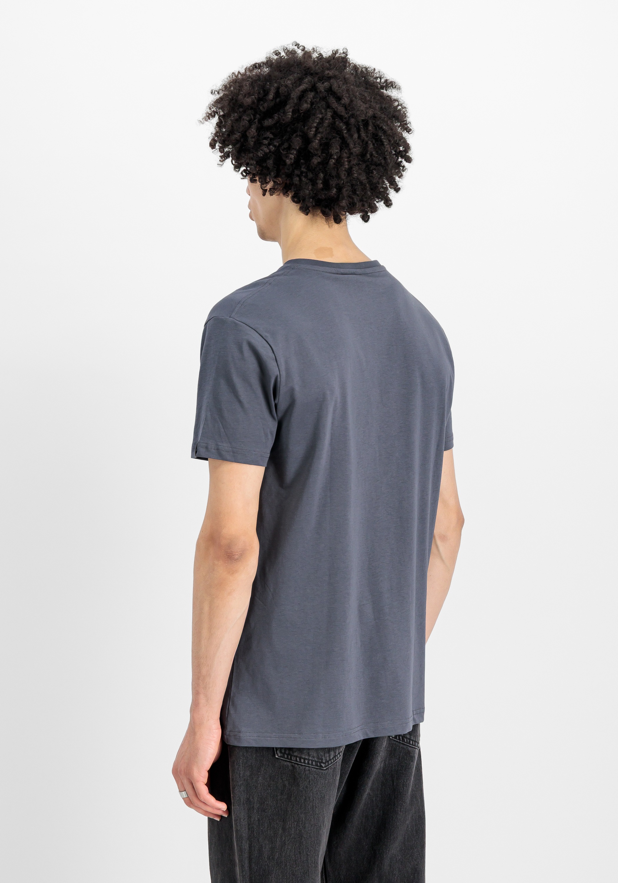 Alpha Industries T-Shirt »Alpha Industries Men - T-Shirts Alpha Label T 2 Pack«