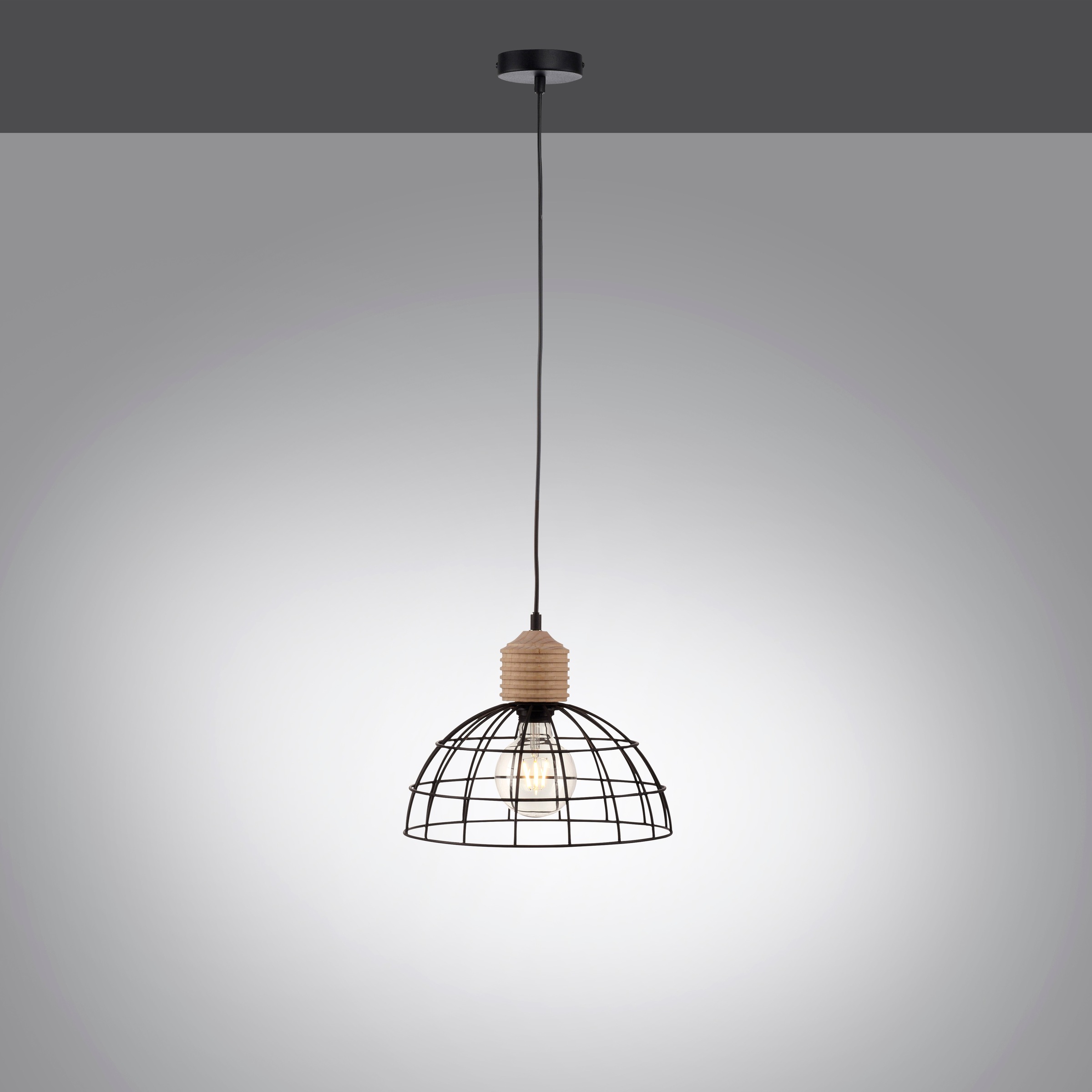 JUST LIGHT Pendelleuchte »TARO«, 1 flammig, Leuchtmittel E27   ohne Leuchtm günstig online kaufen