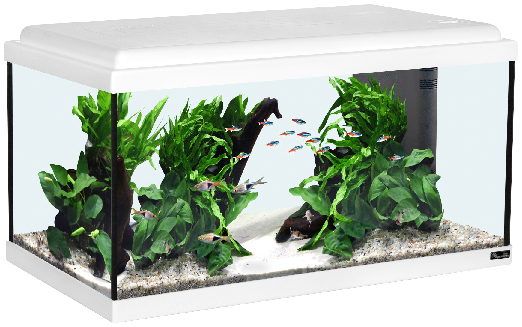 Aquarium „Advance 60 LED“, BxTxH: 60x30x34 cm, 54 l weiß B/H/T: 60 cm x 34 cm x 30 cm