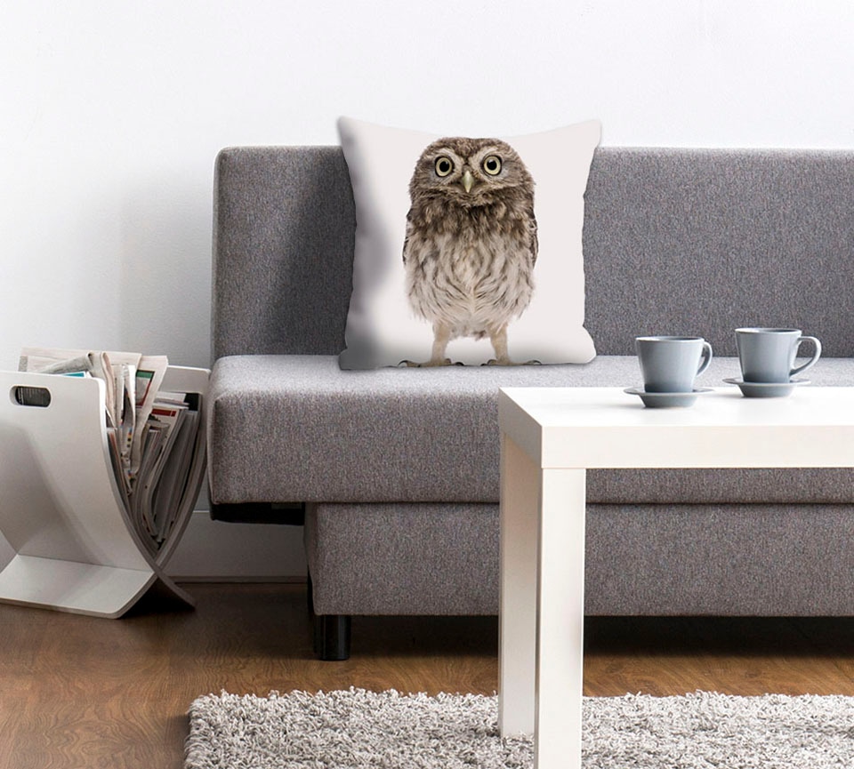 queence Dekokissen »Kelly«, Kissenhülle,Weißer Hintergrund,Eule,Tiermotiv,N günstig online kaufen